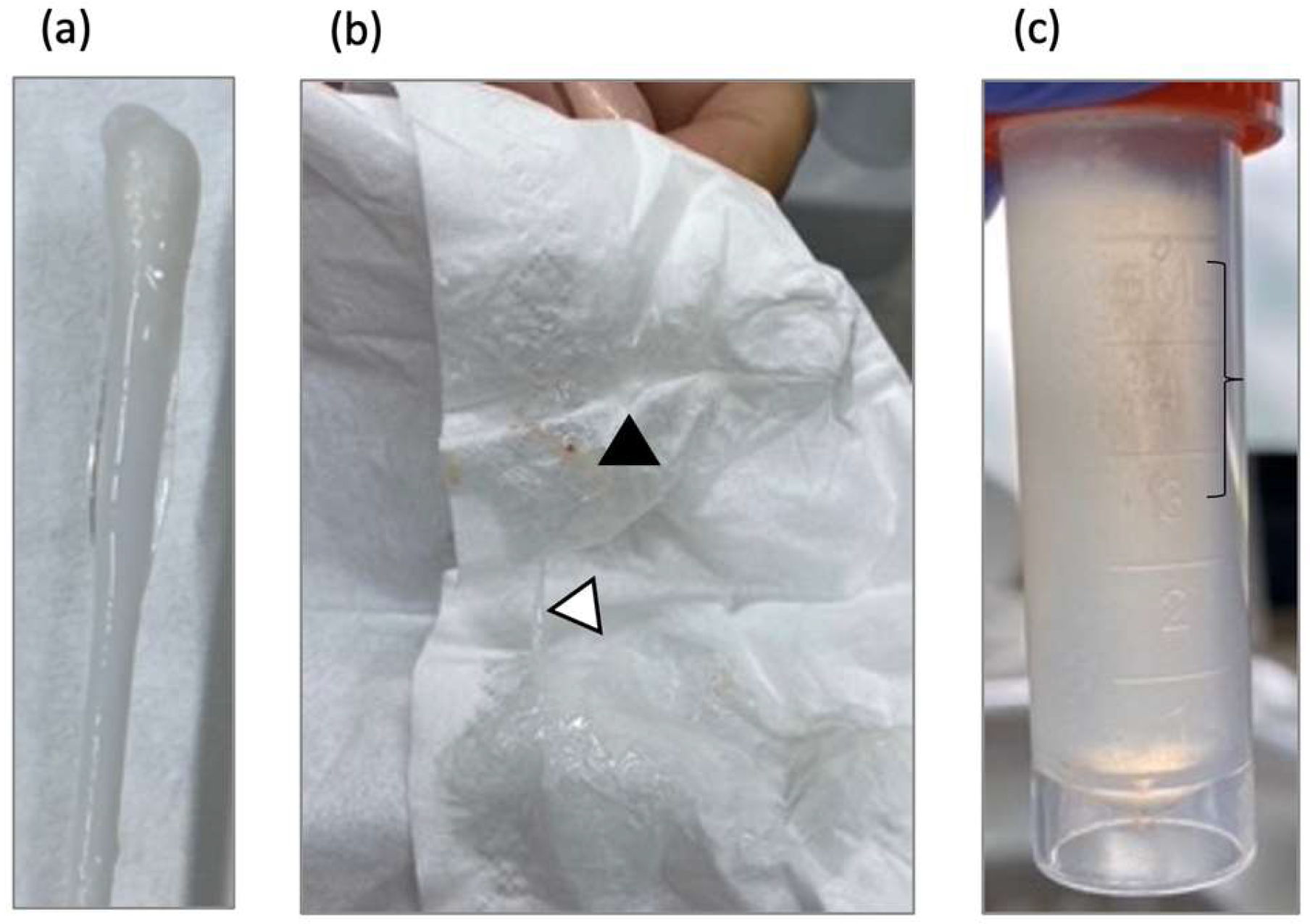 Viruses 17 00210 g003