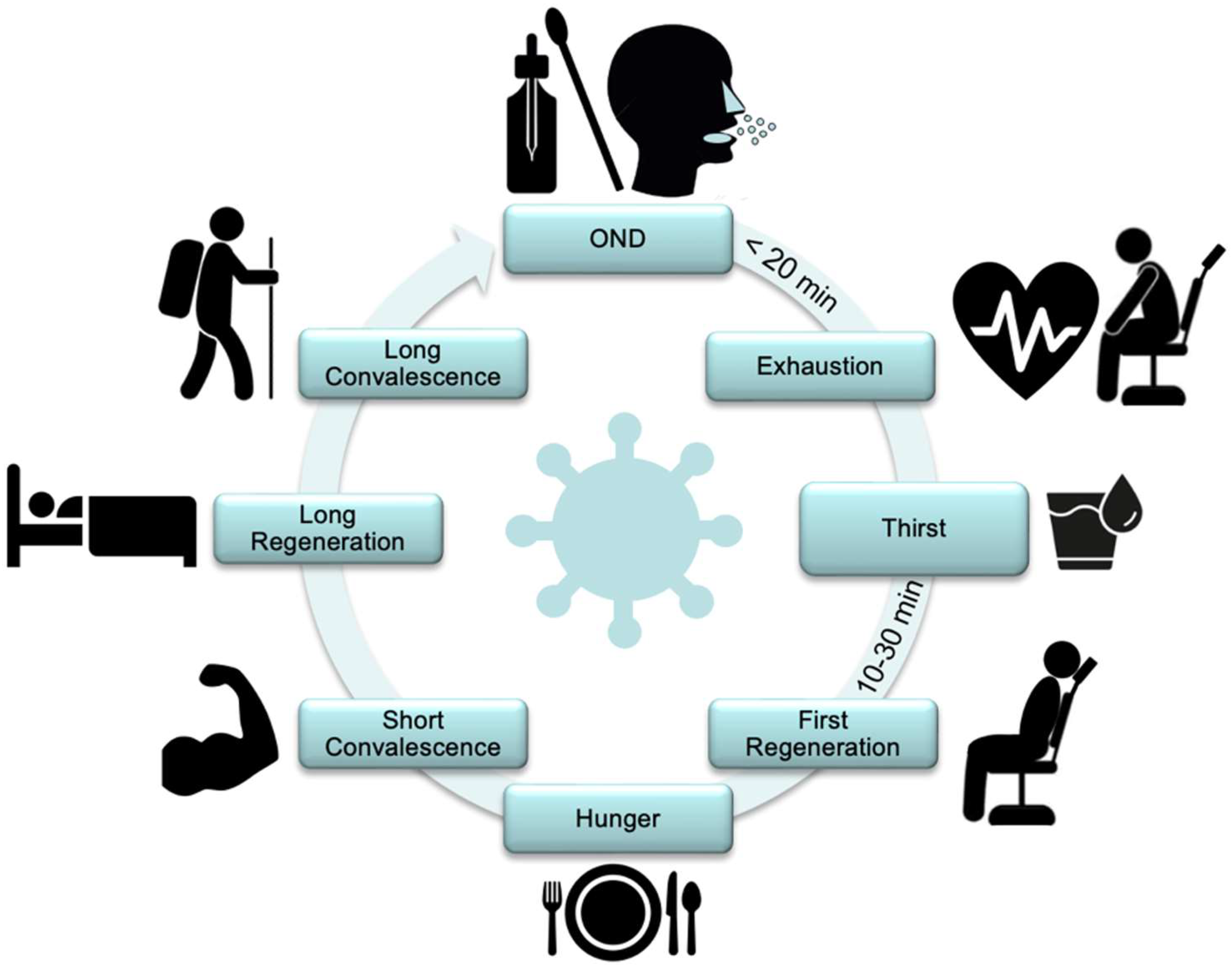 Viruses 17 00210 g0a1