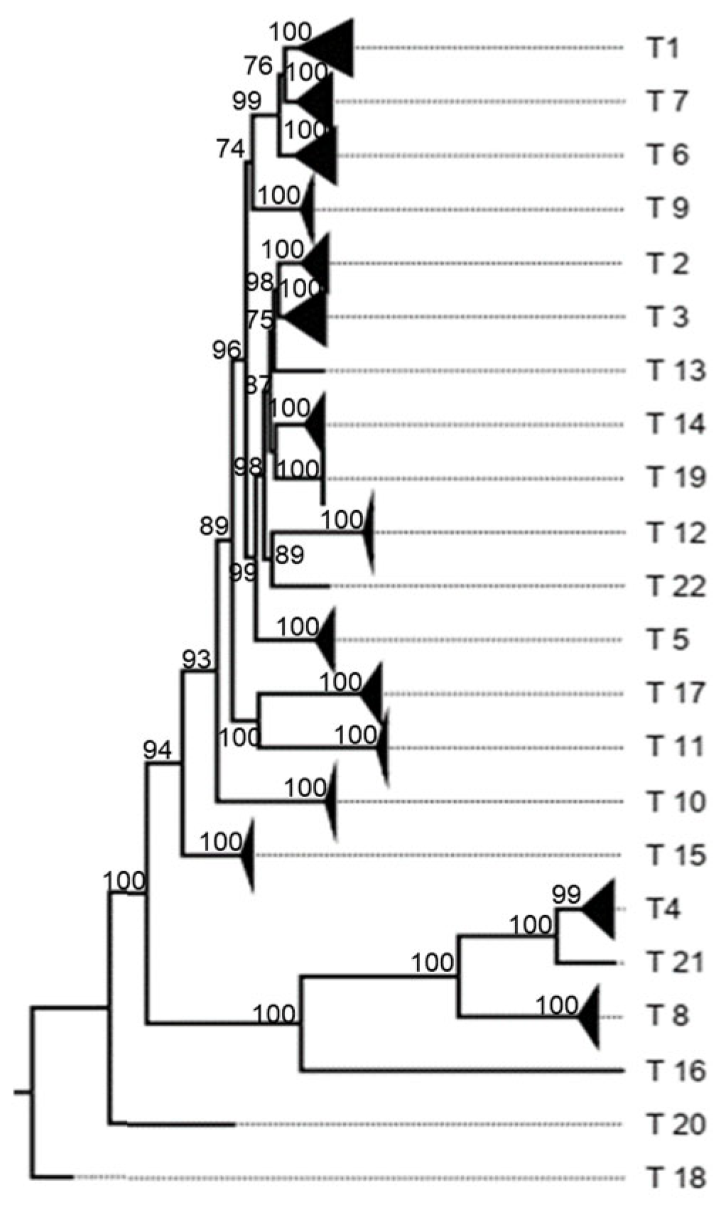 Viruses 17 00211 g0a10 Viruses 17 00211 g0a10