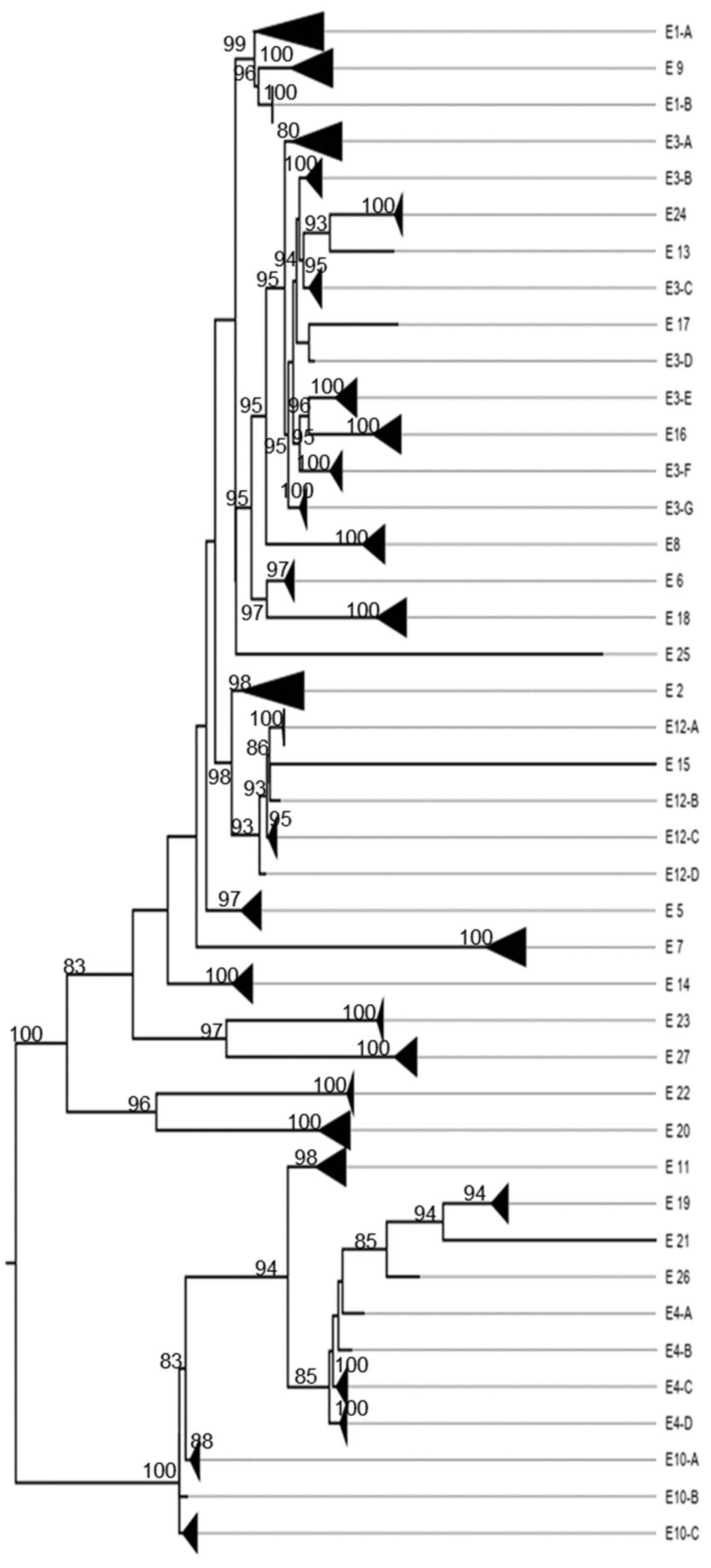 Viruses 17 00211 g0a11 Viruses 17 00211 g0a11
