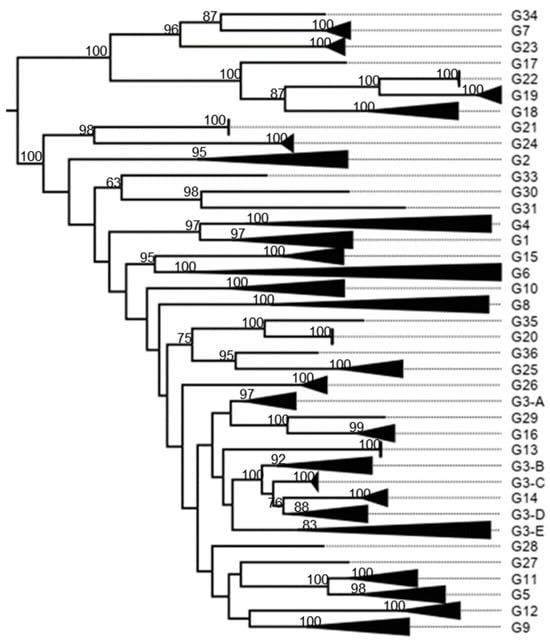 Viruses 17 00211 g0a2