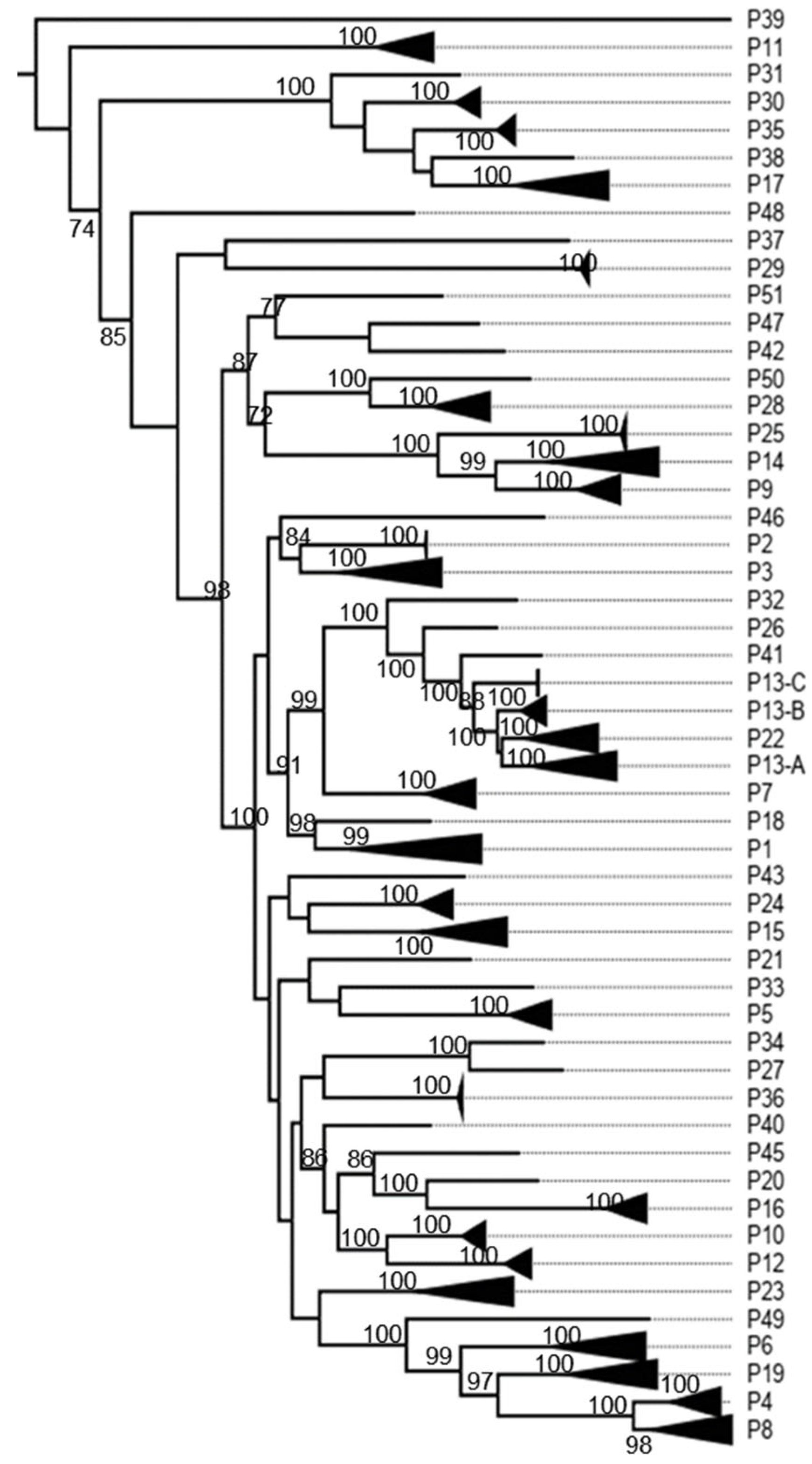 Viruses 17 00211 g0a3 Viruses 17 00211 g0a3