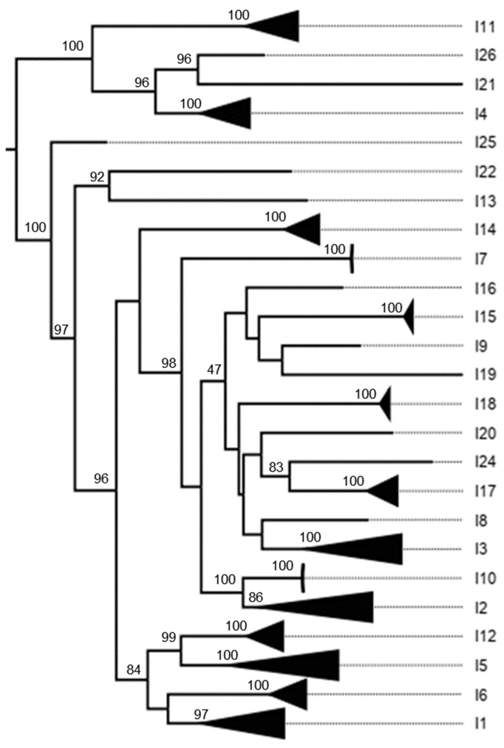 Viruses 17 00211 g0a4 Viruses 17 00211 g0a4
