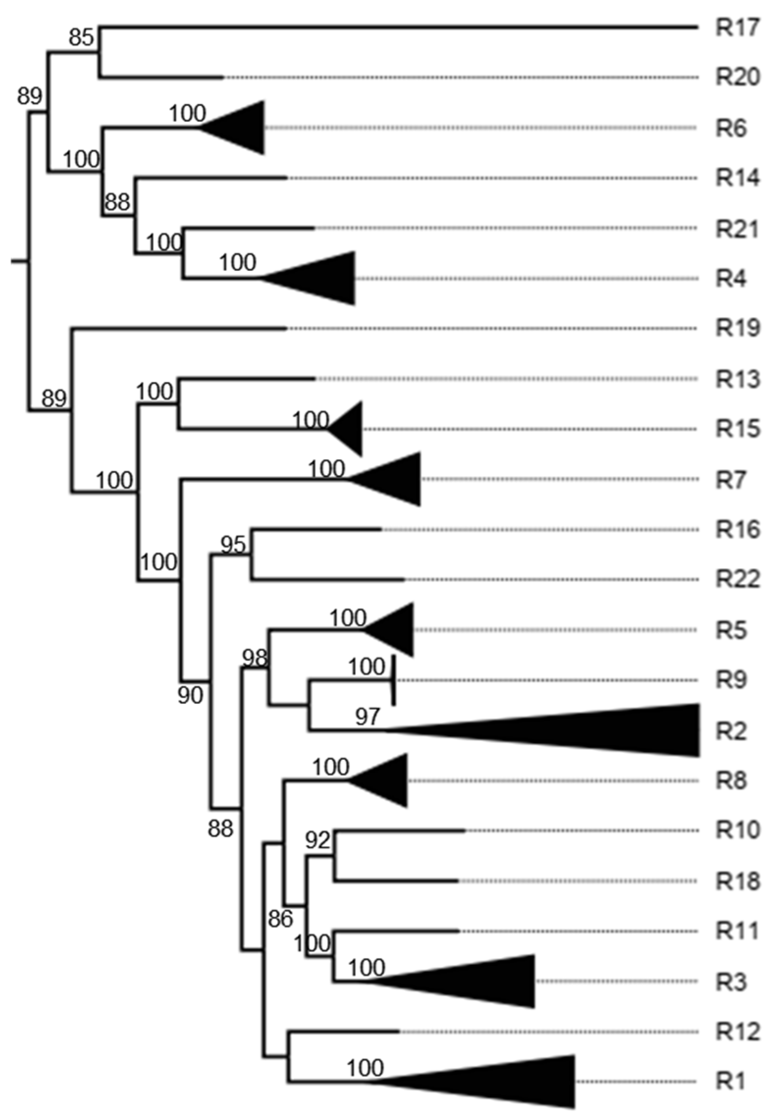 Viruses 17 00211 g0a5 Viruses 17 00211 g0a5