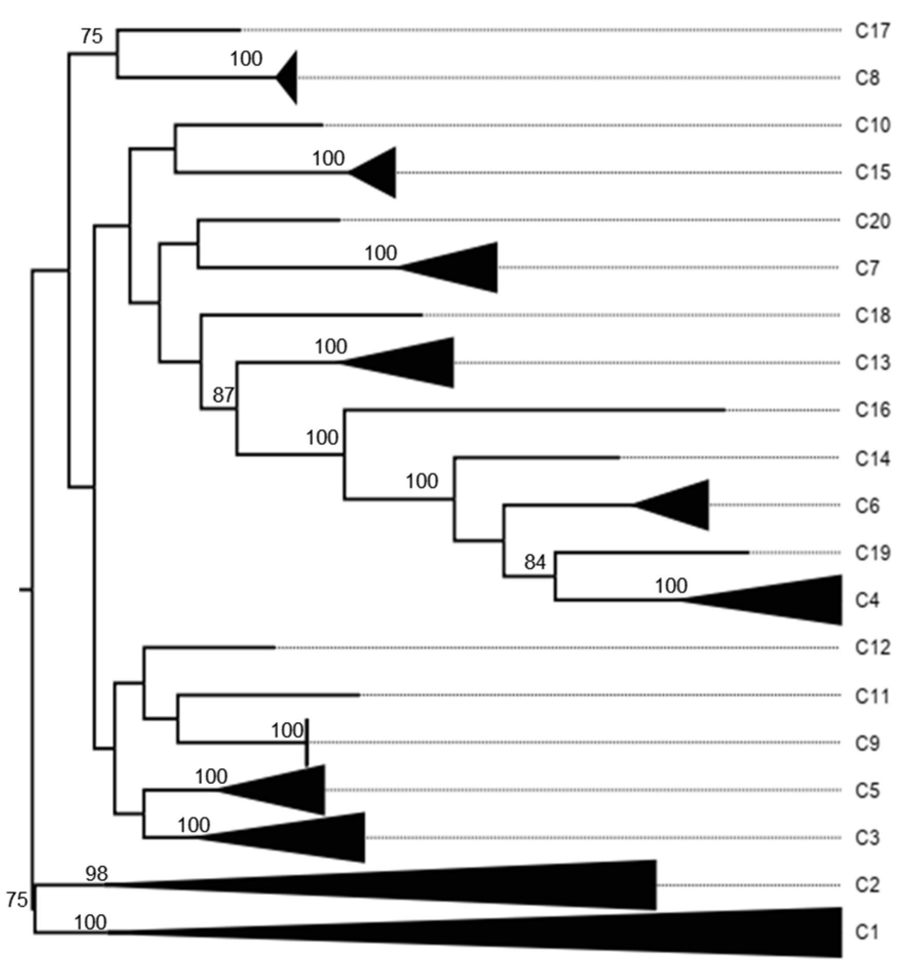 Viruses 17 00211 g0a6 Viruses 17 00211 g0a6