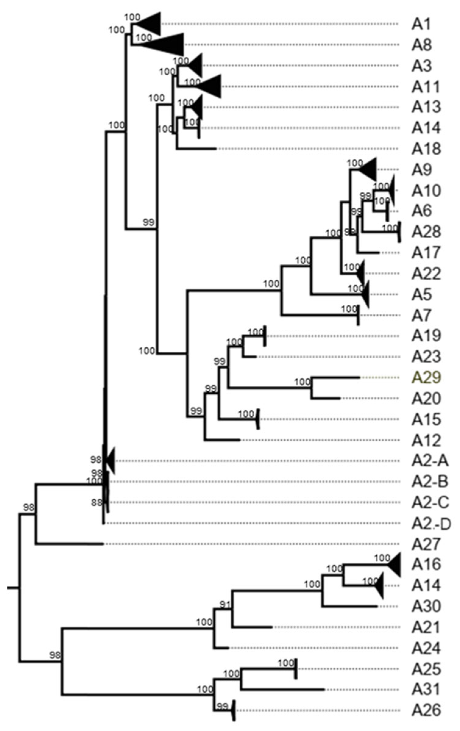 Viruses 17 00211 g0a8 Viruses 17 00211 g0a8