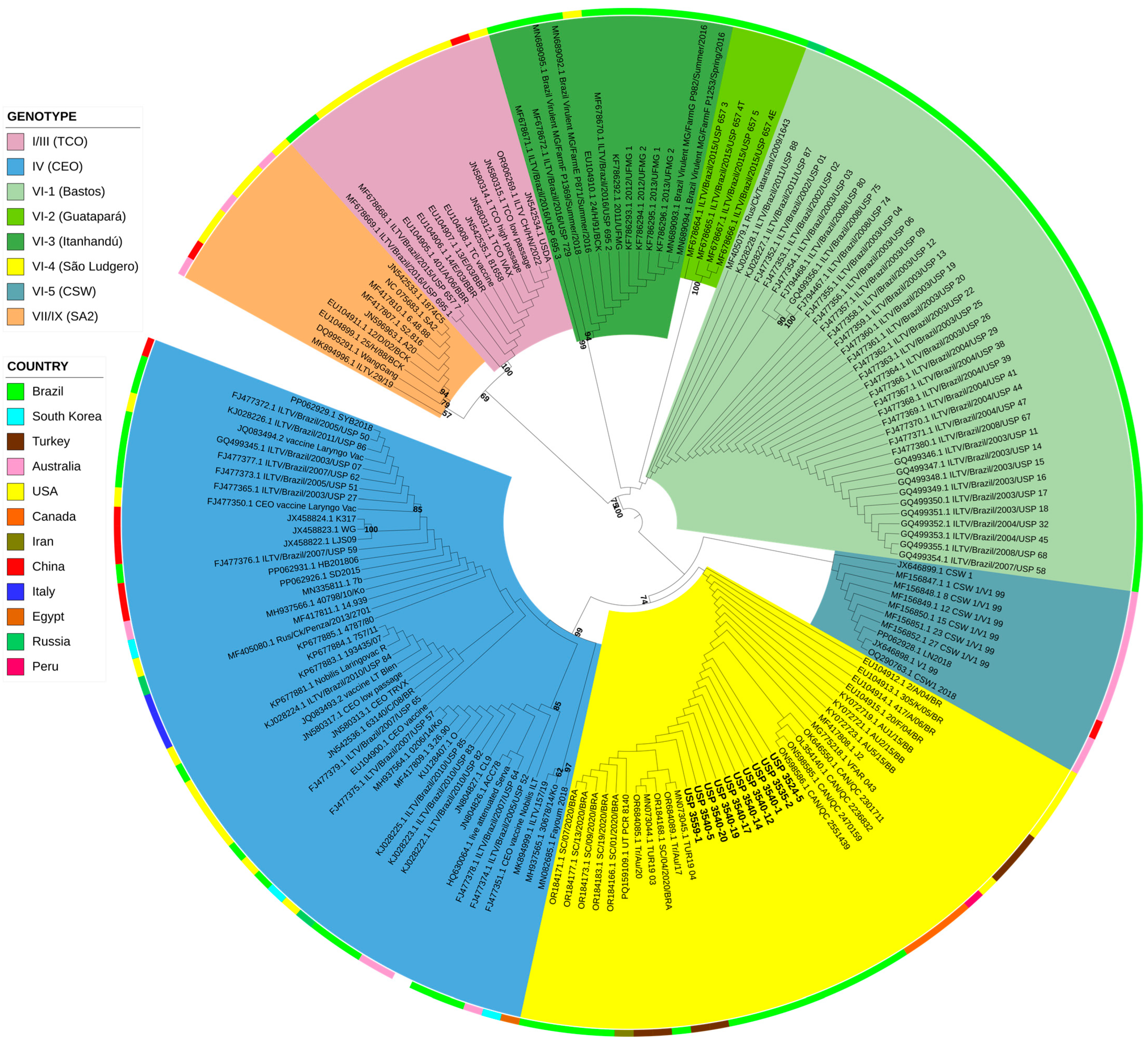 Viruses 17 00213 g001