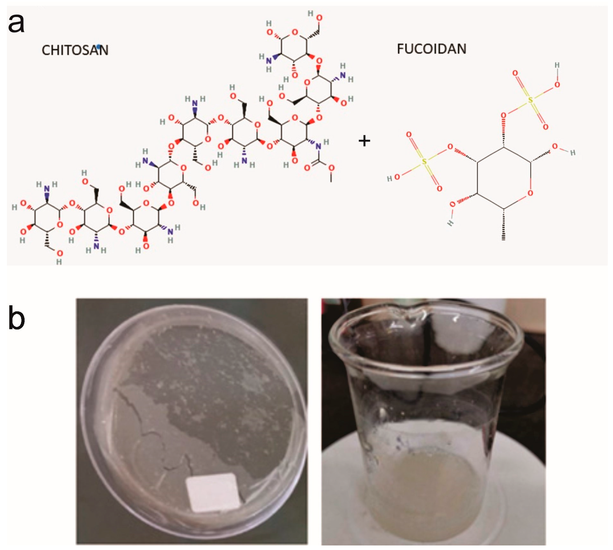 Viruses 17 00216 g001