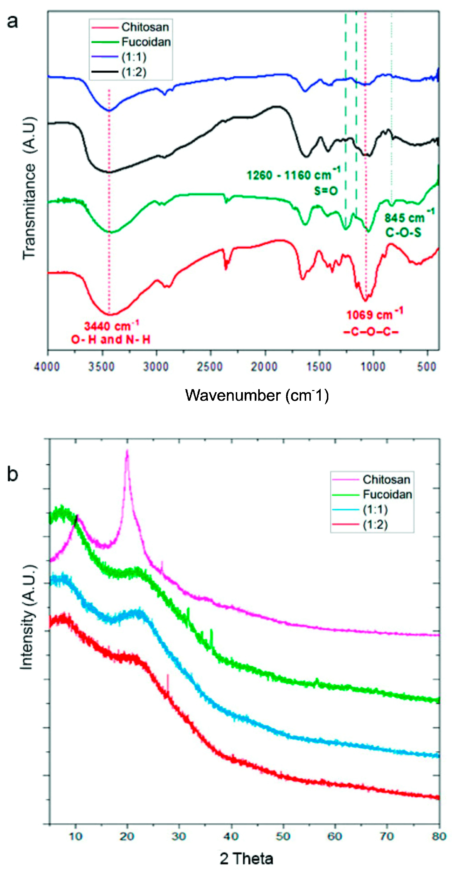 Viruses 17 00216 g002