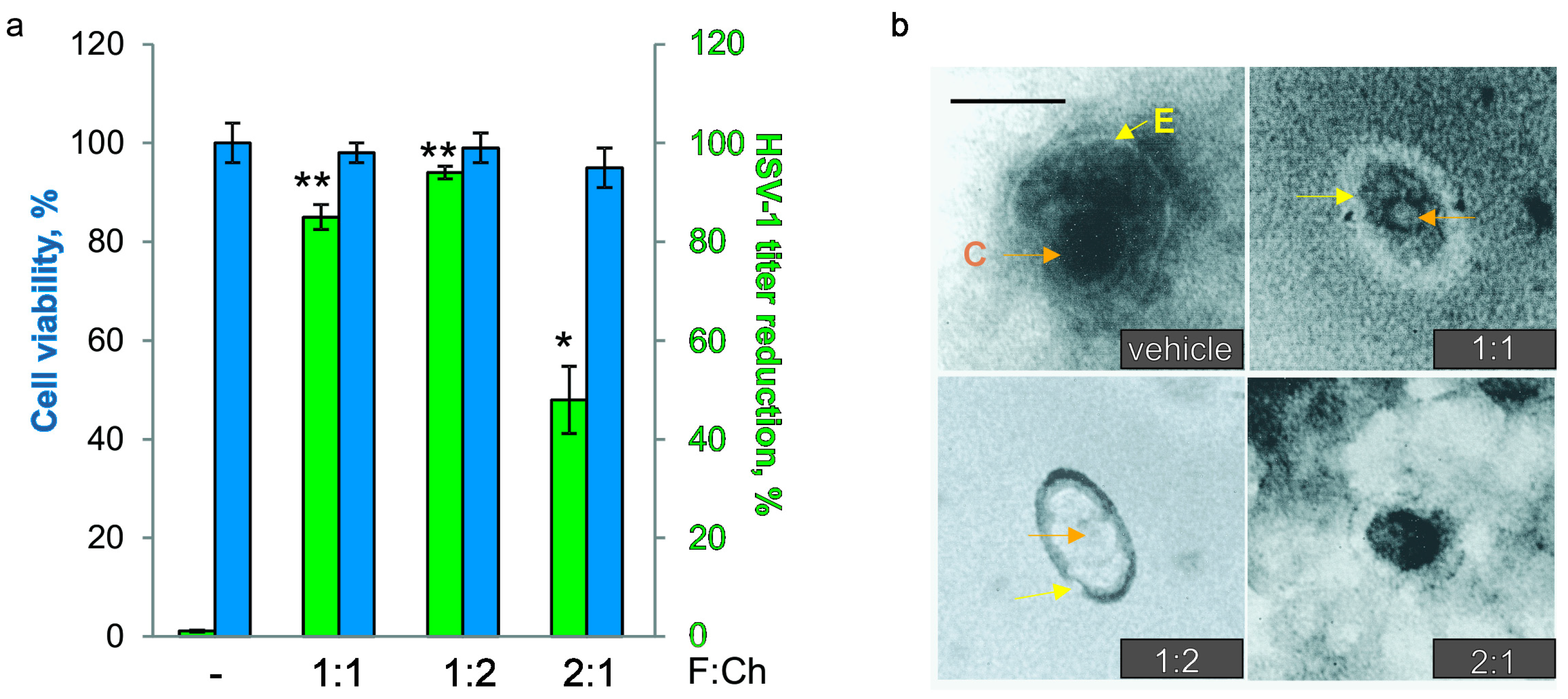 Viruses 17 00216 g004