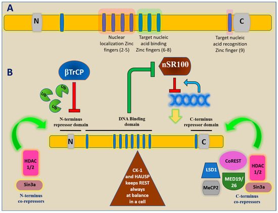 Viruses 17 00234 g0a1