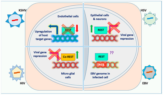 Viruses 17 00234 g0a2