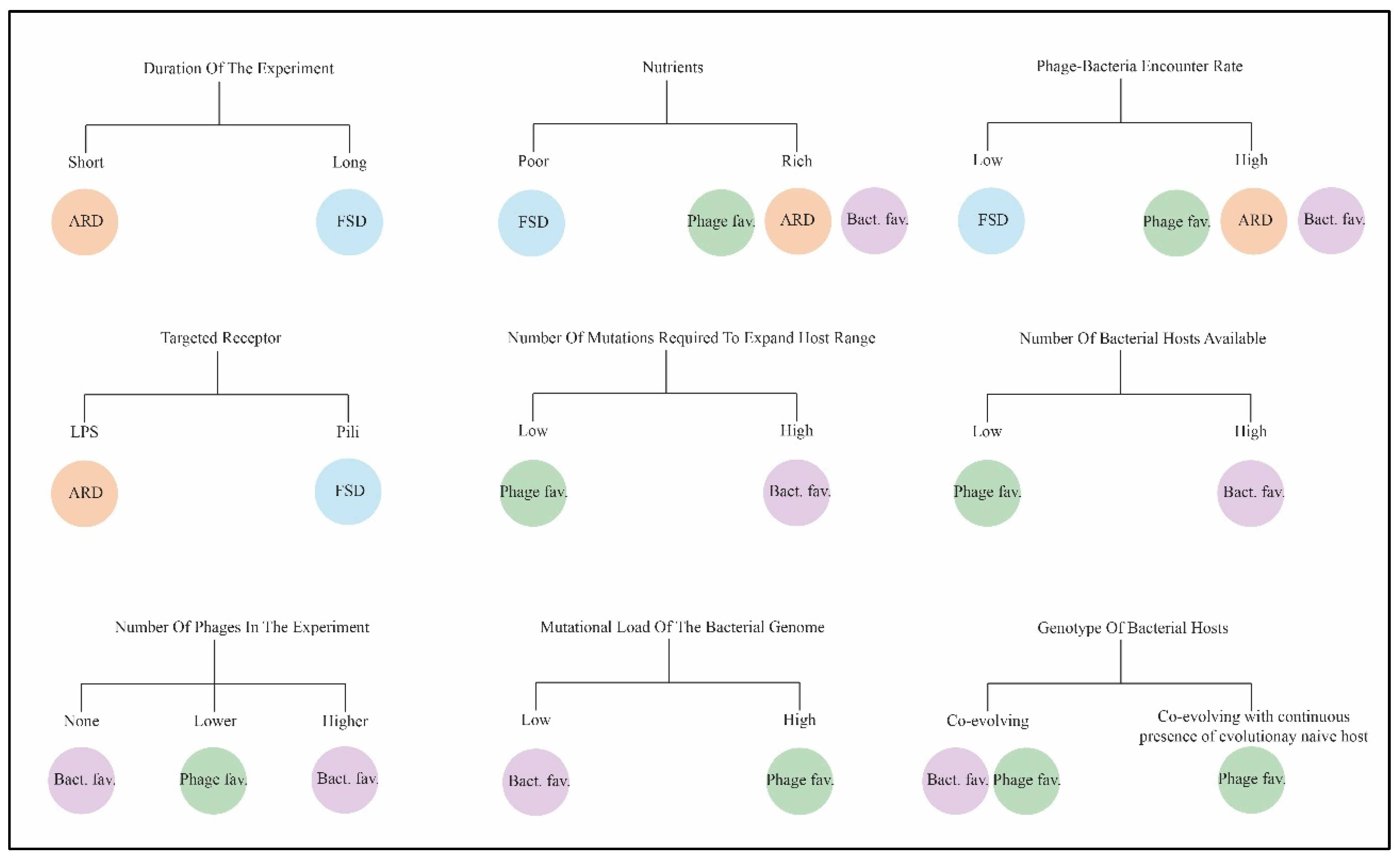 Viruses 17 00235 g002
