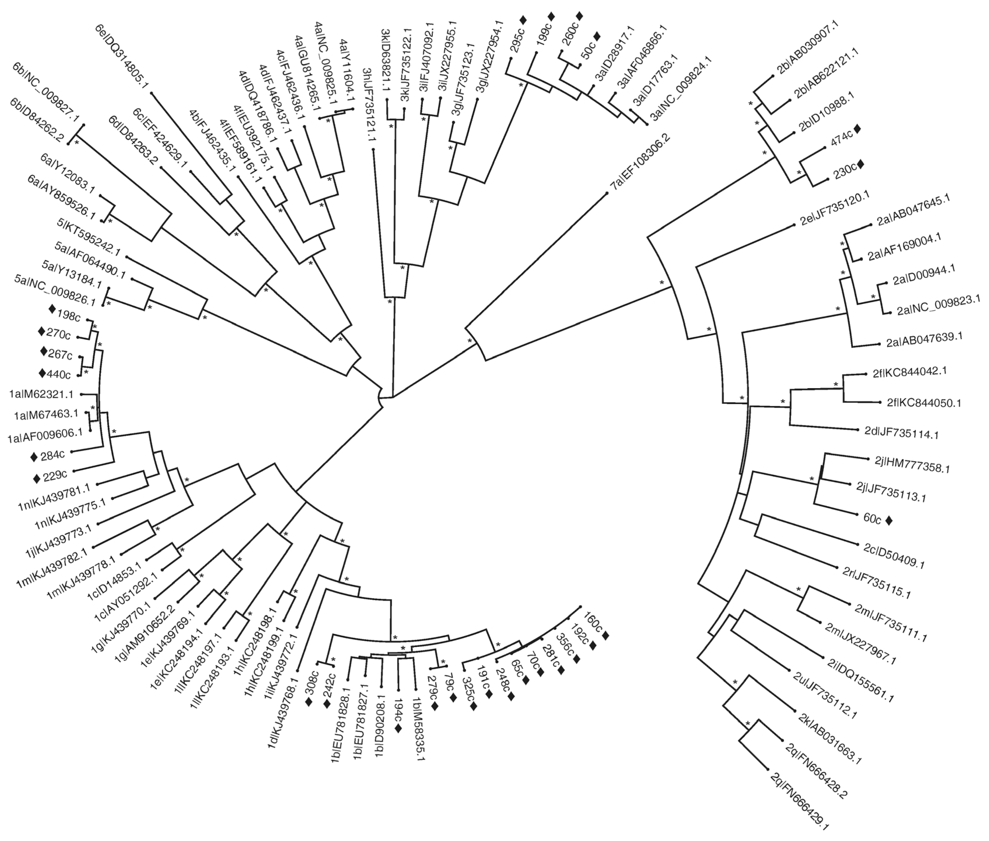 Viruses 17 00236 g001 Viruses 17 00236 g001
