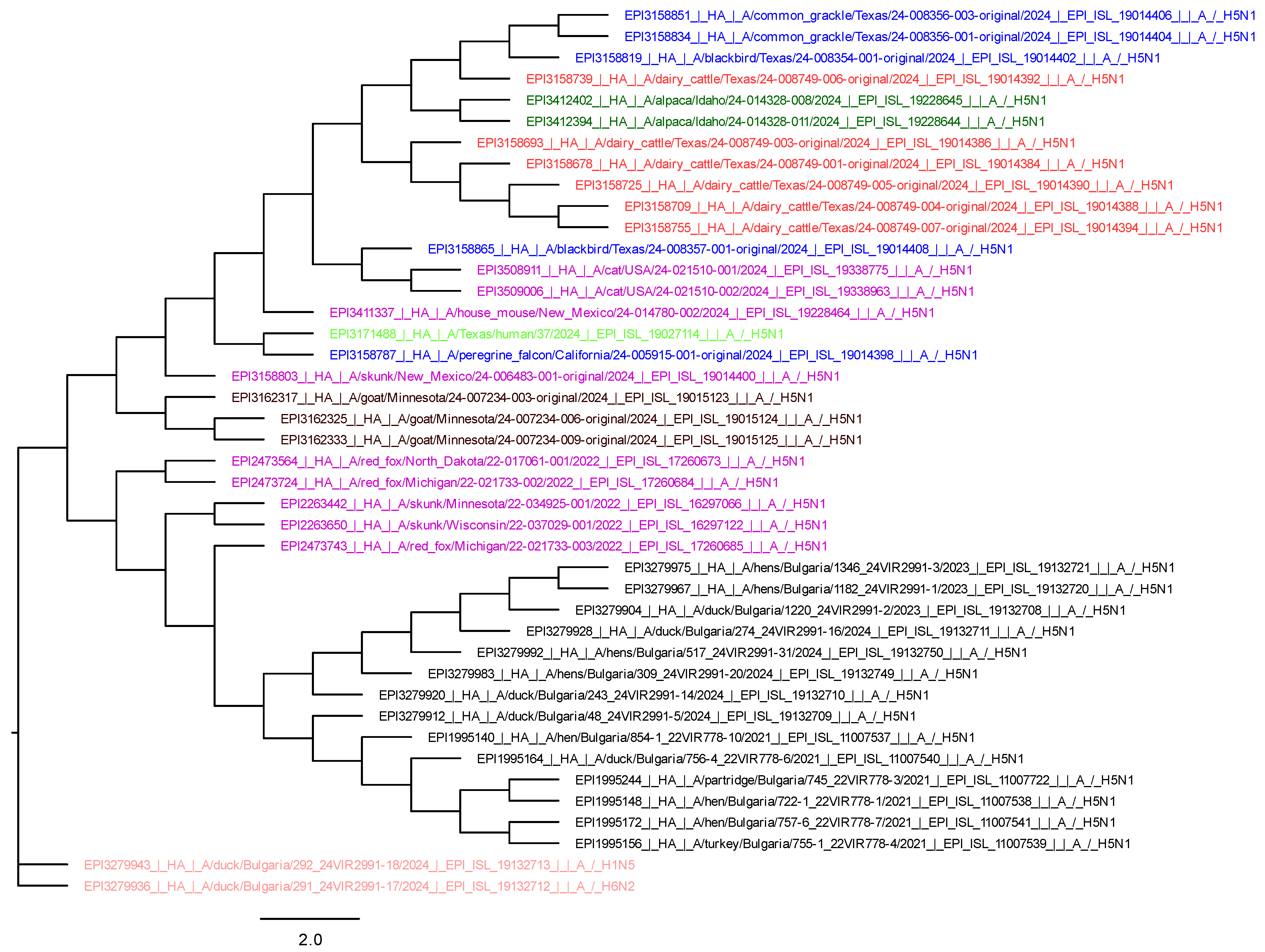 Viruses 17 00246 g003