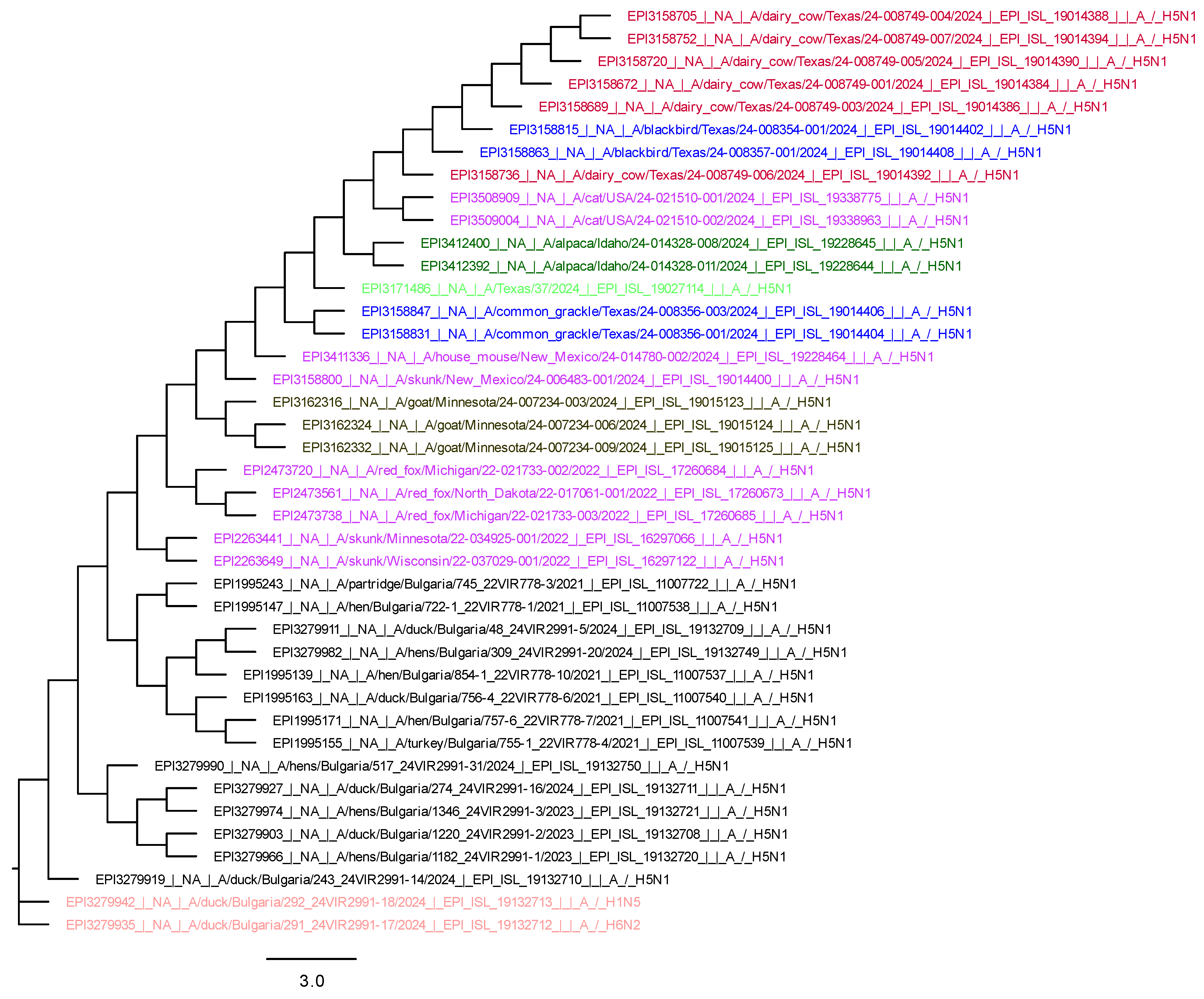 Viruses 17 00246 g004