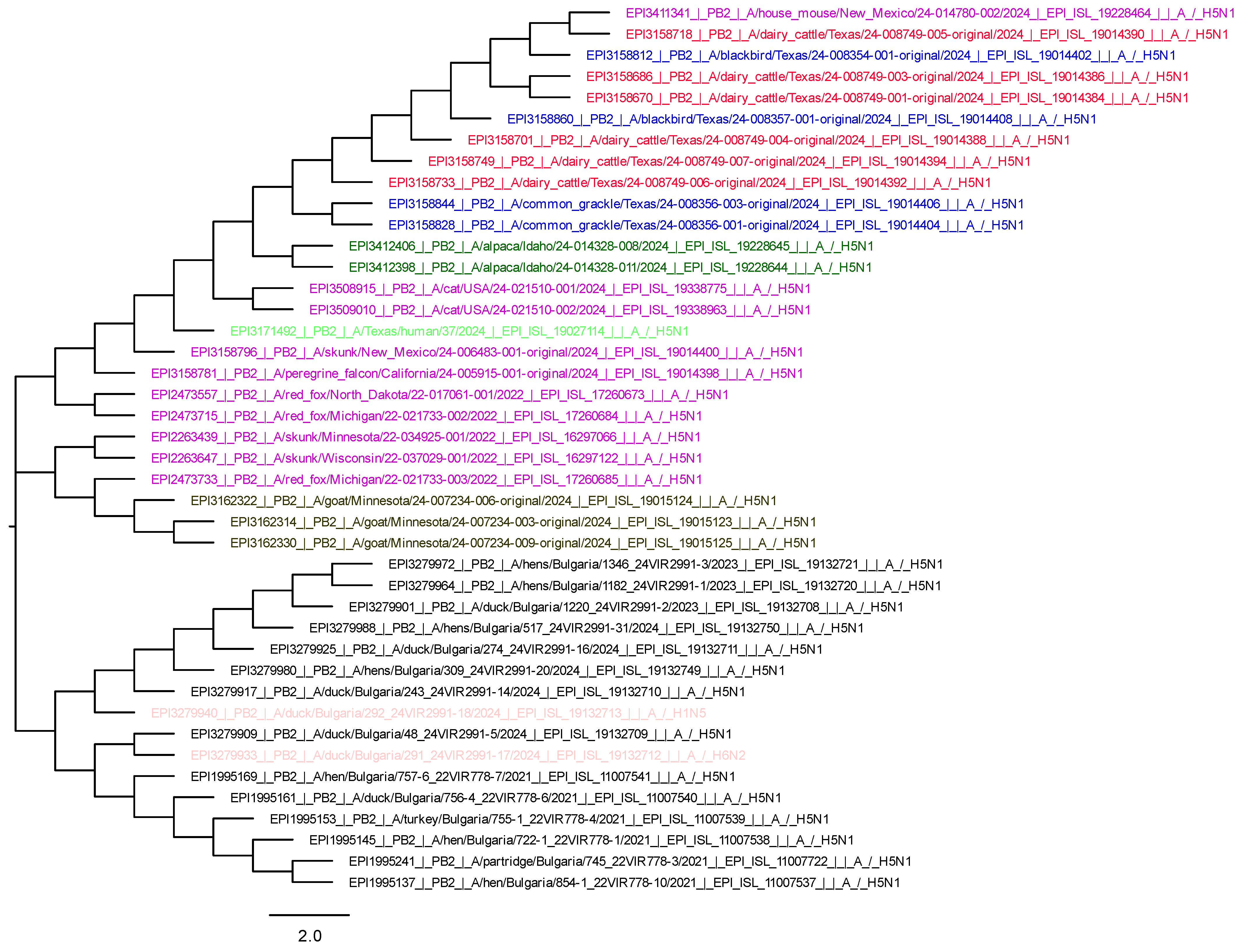 Viruses 17 00246 g005