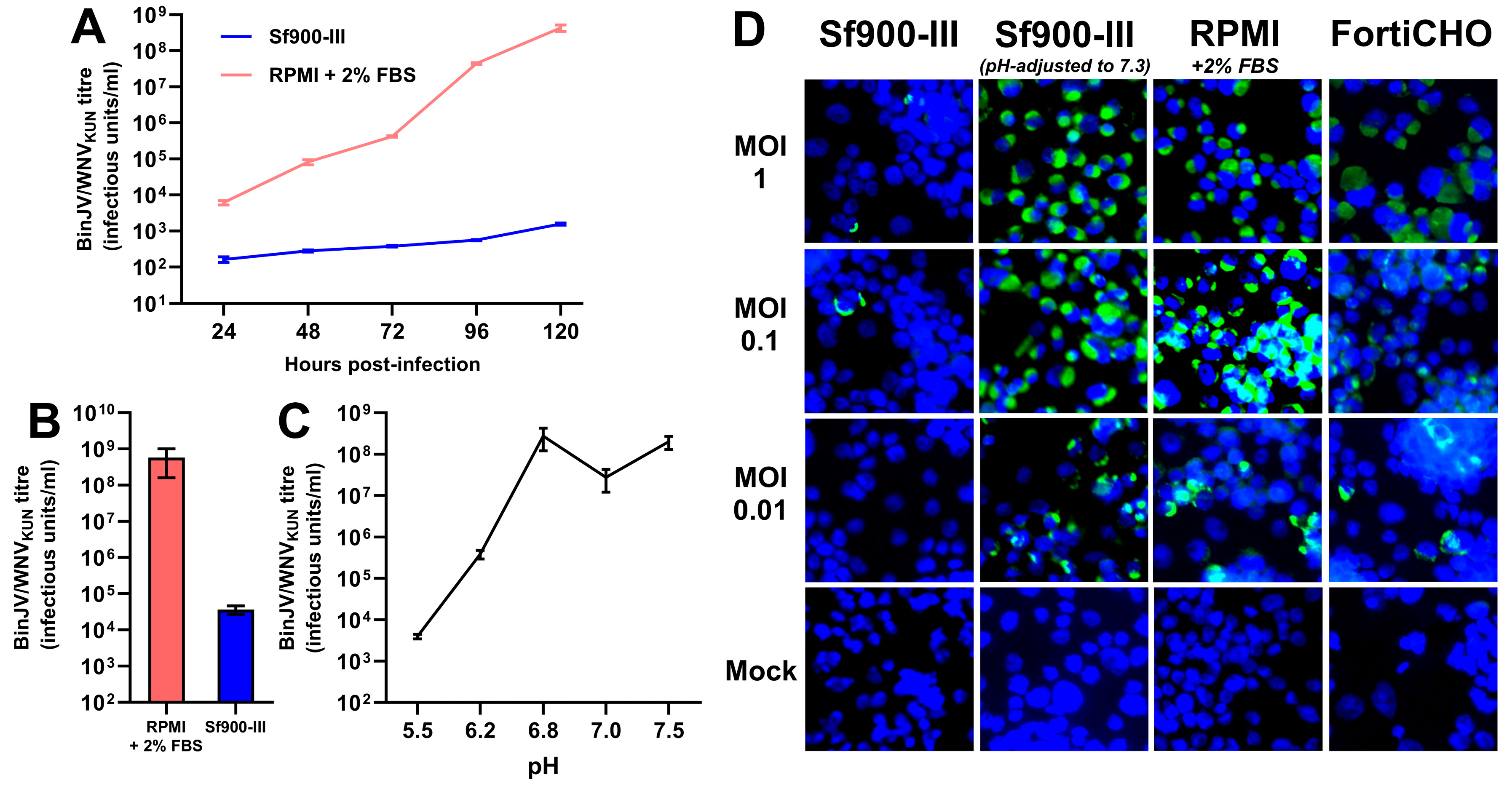 Viruses 17 00250 g002