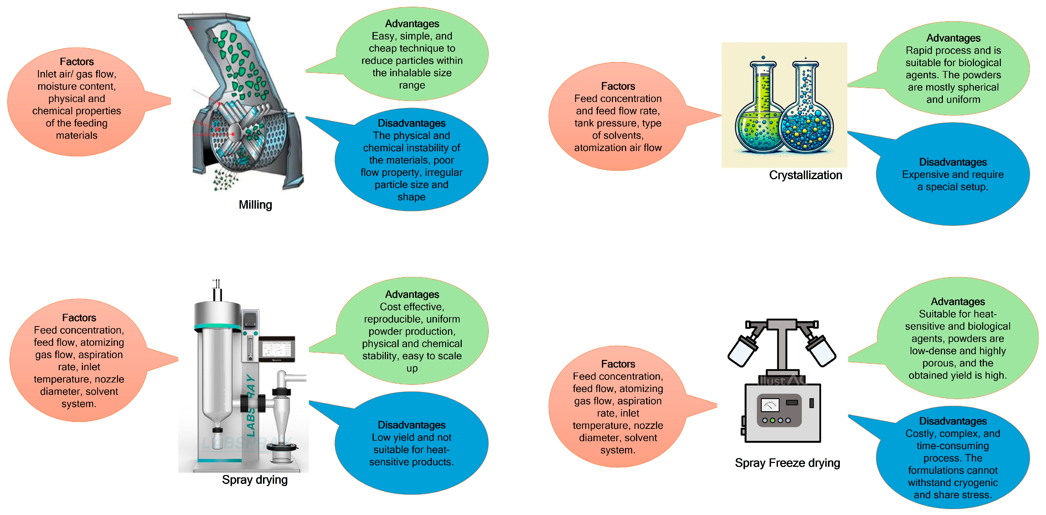 Viruses 17 00252 g001