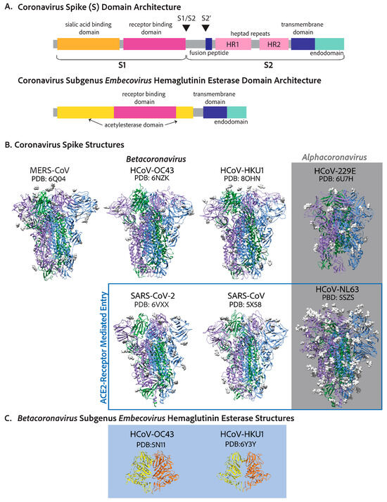 Viruses 17 00256 g003