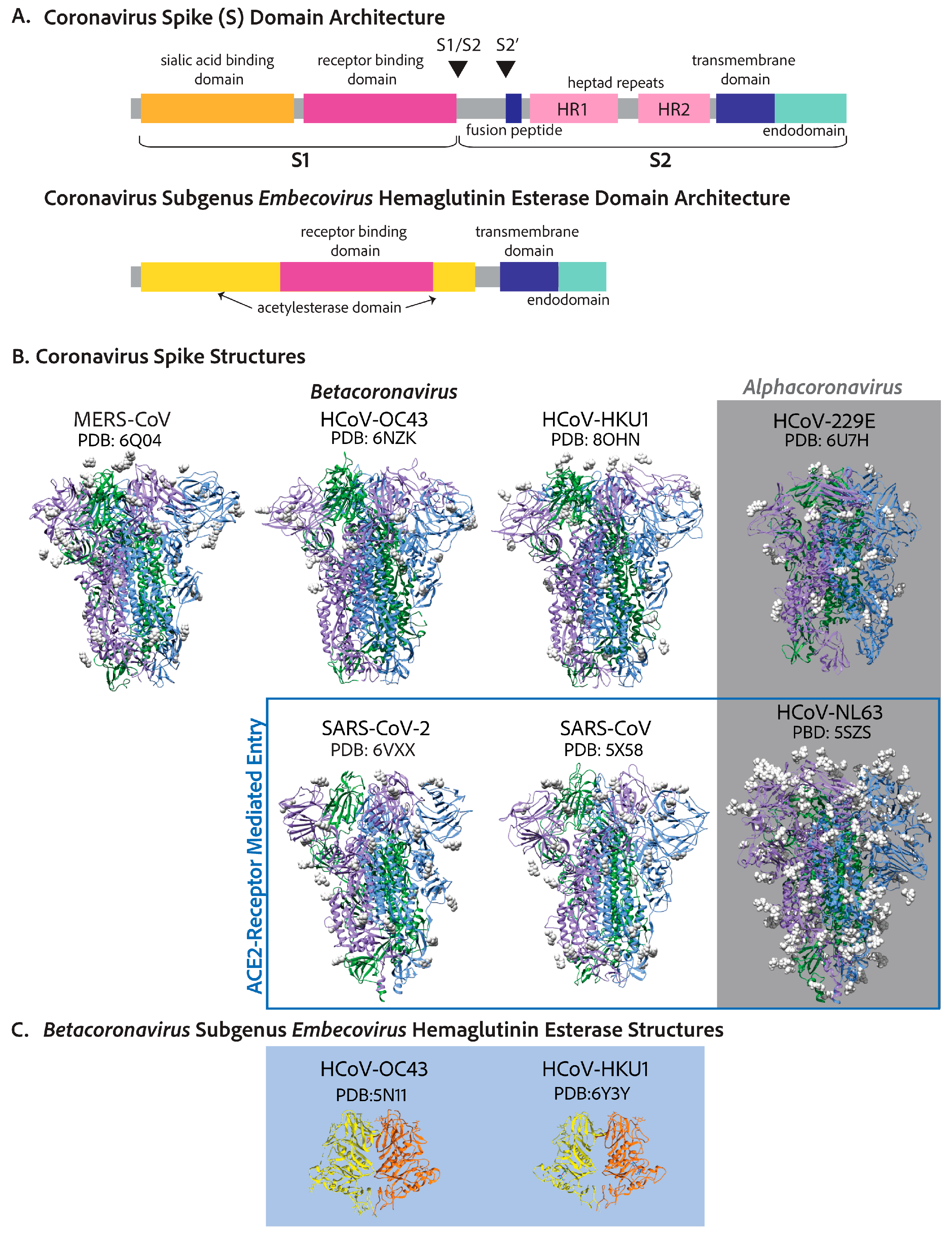 Viruses 17 00256 g003