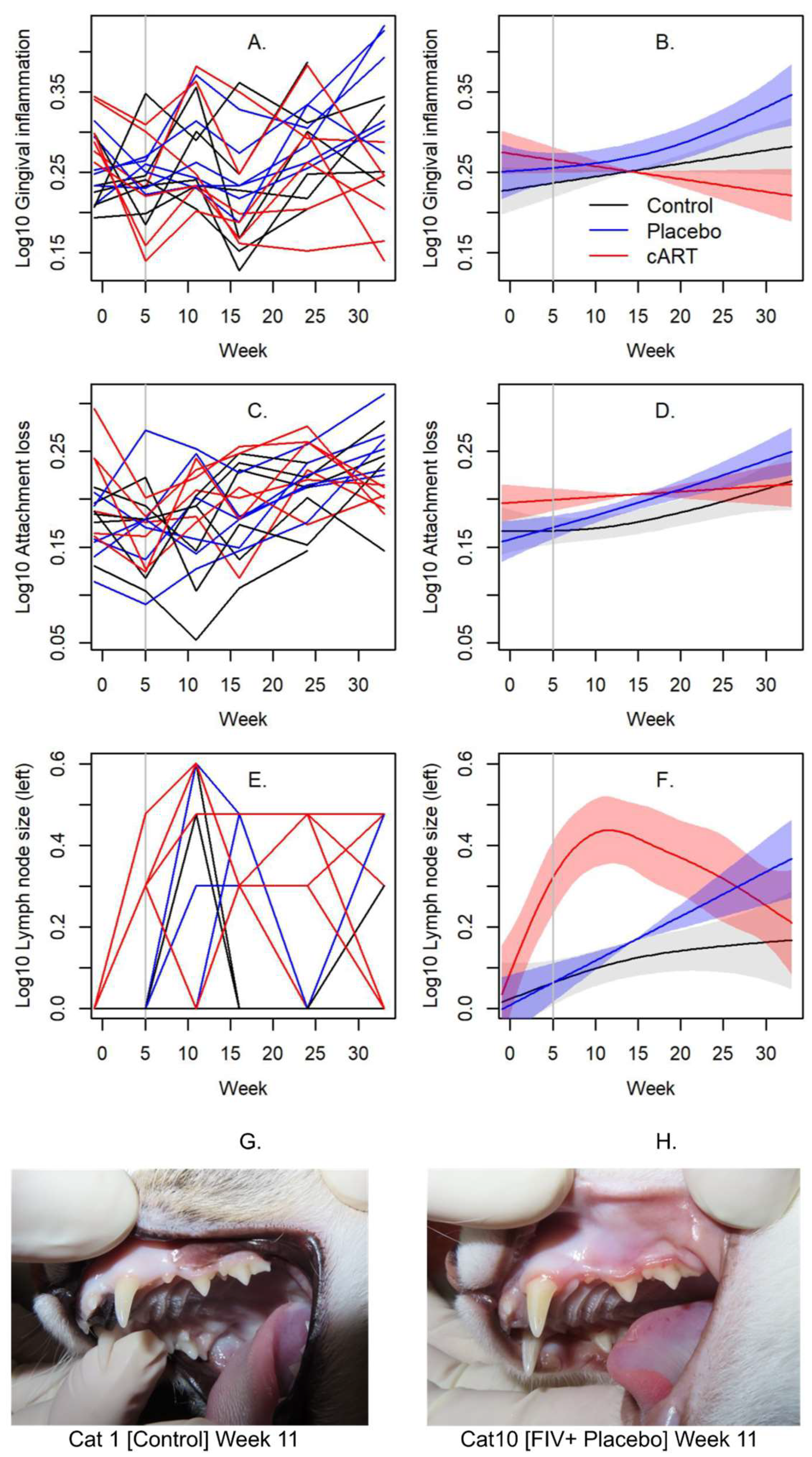 Viruses 17 00257 g002