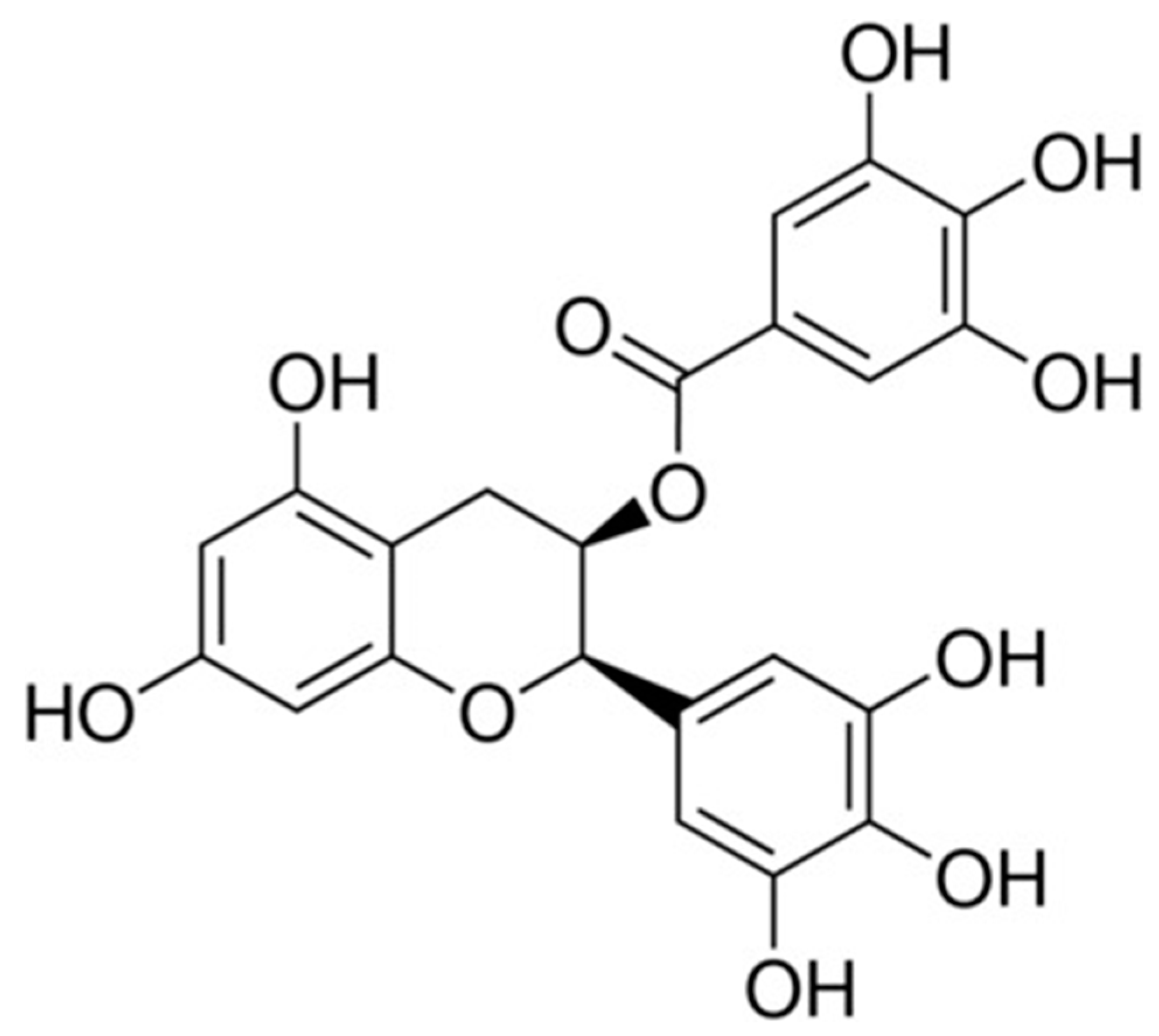 Viruses 17 00258 g001
