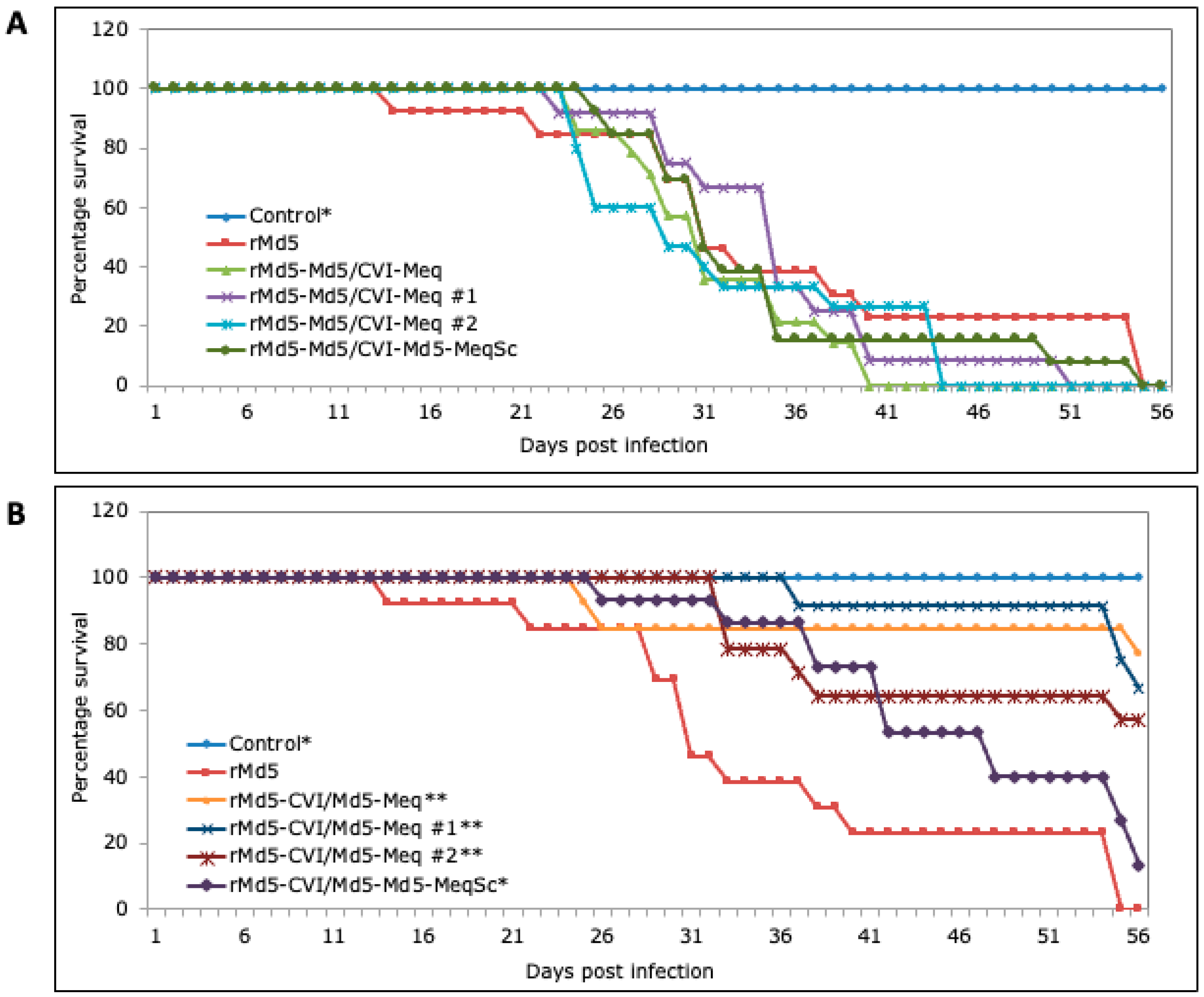 Viruses 17 00259 g005