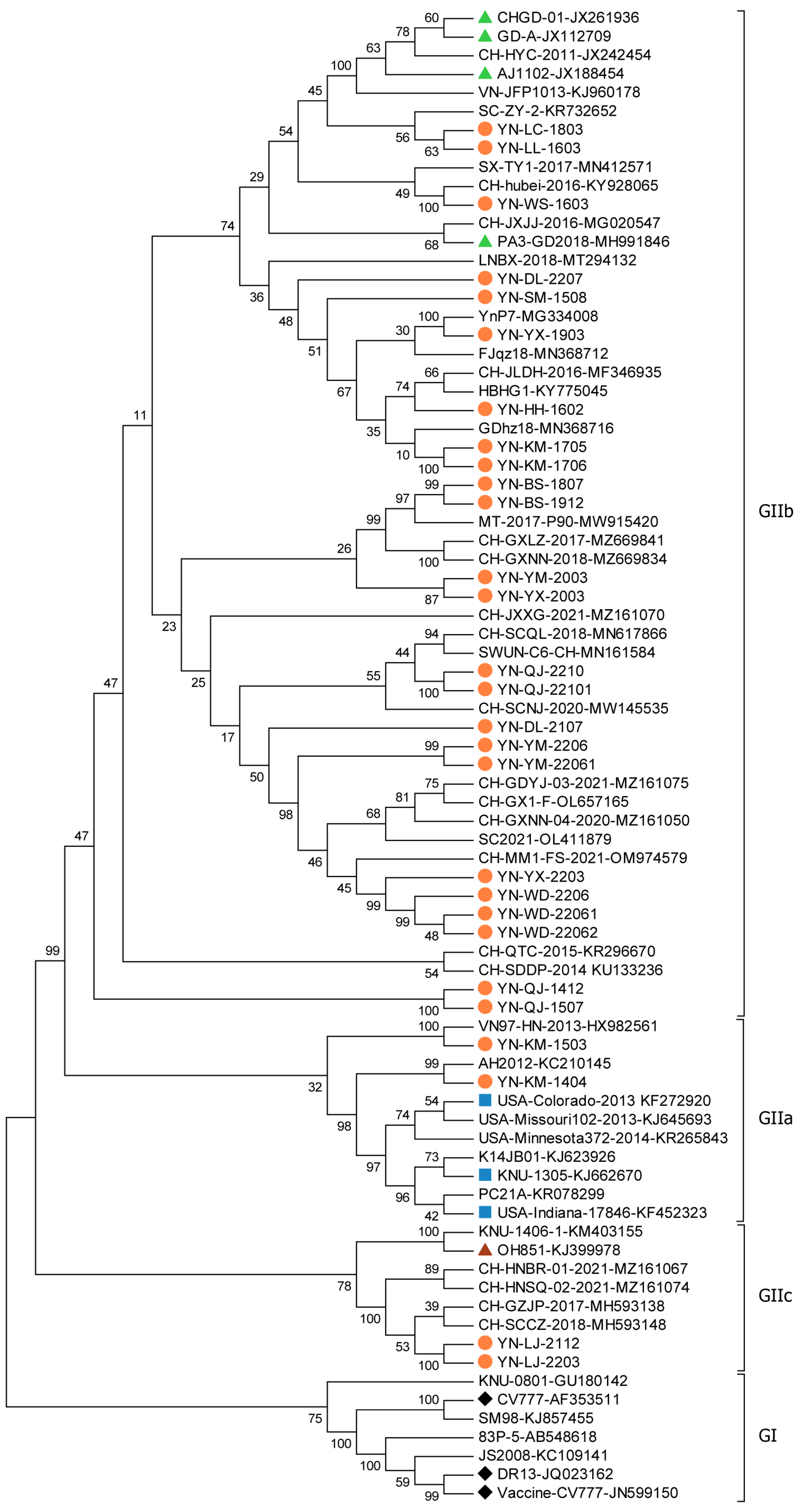 Viruses 17 00264 g004