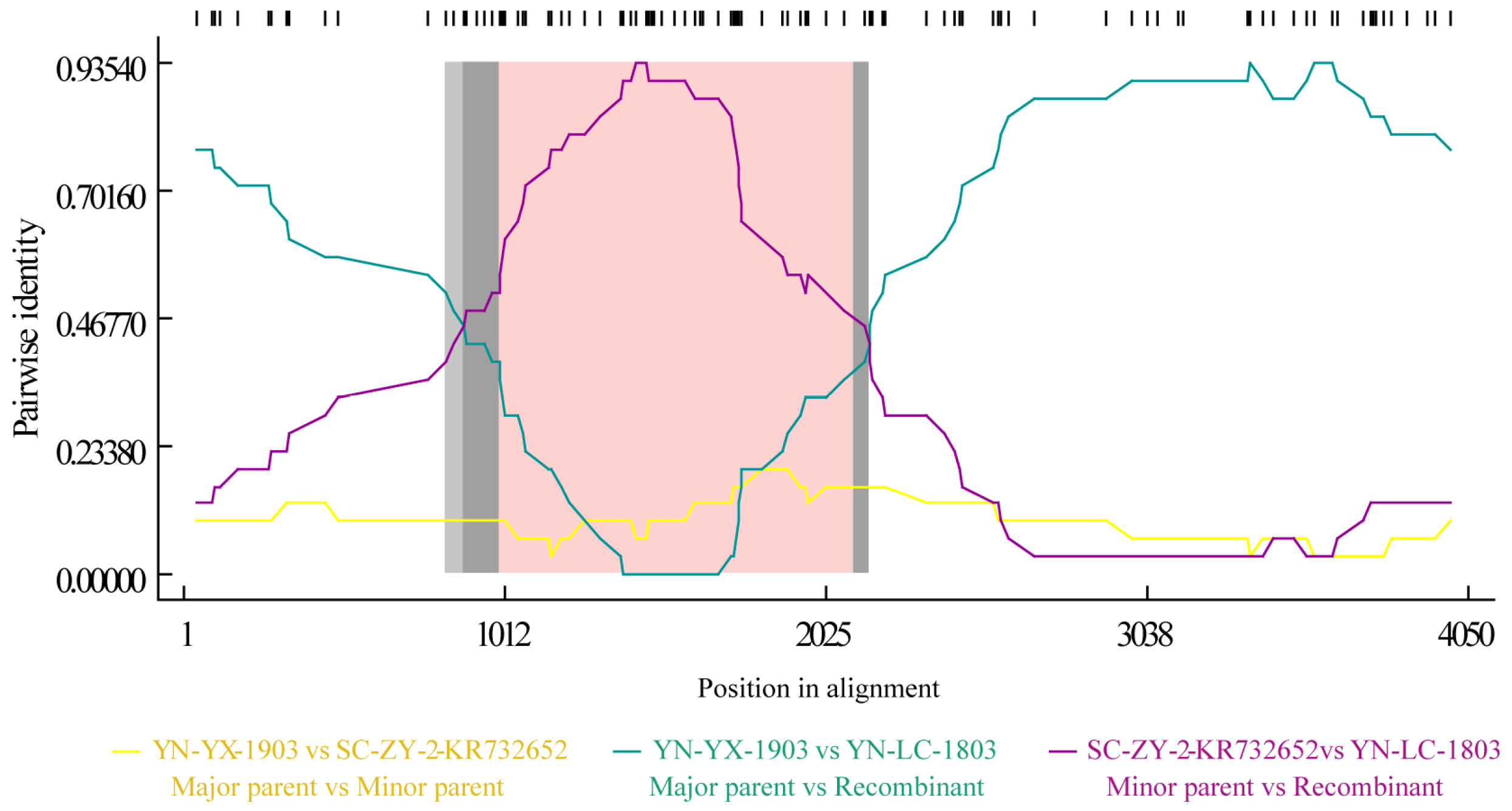 Viruses 17 00264 g005