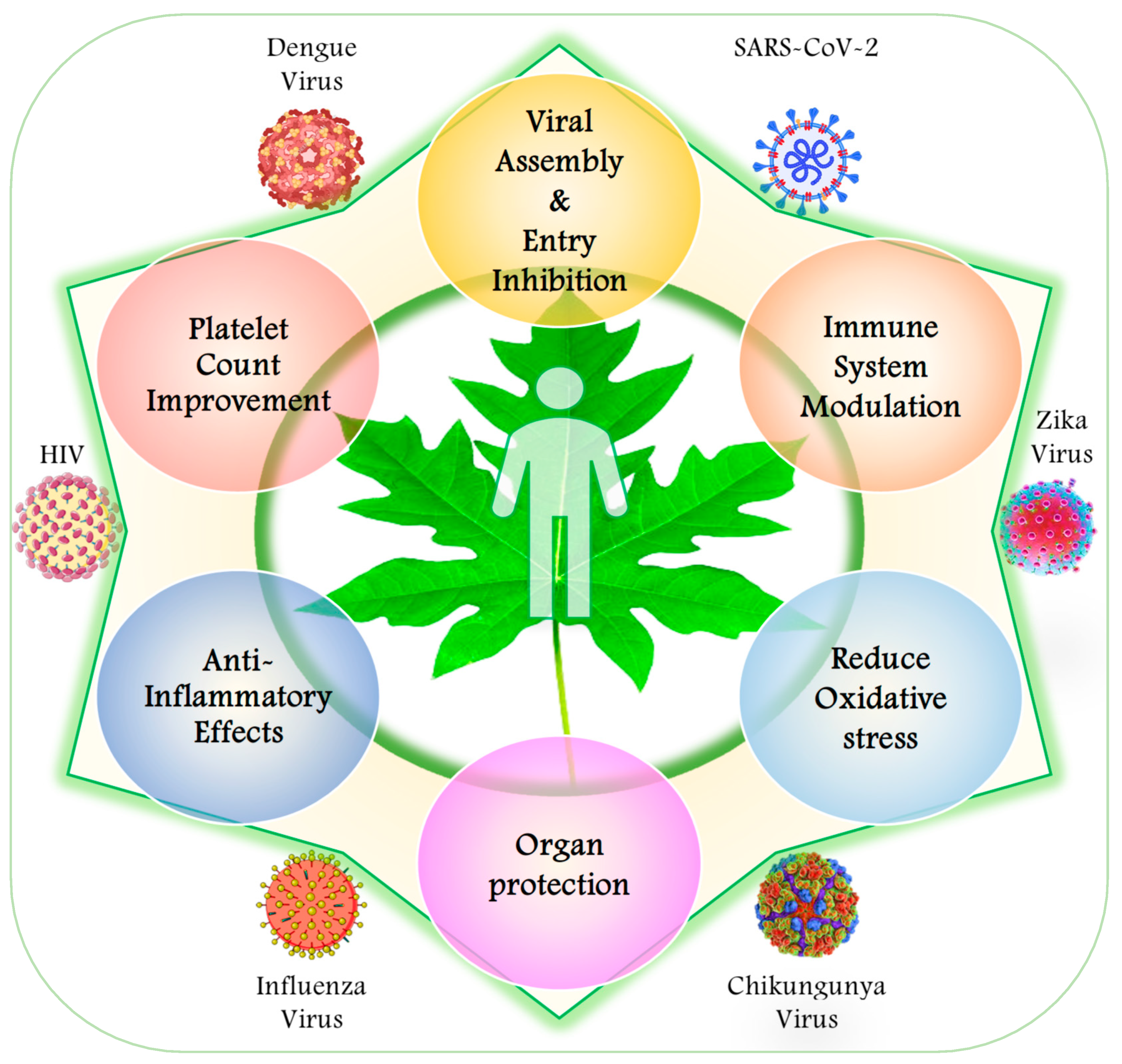 Viruses 17 00271 g002