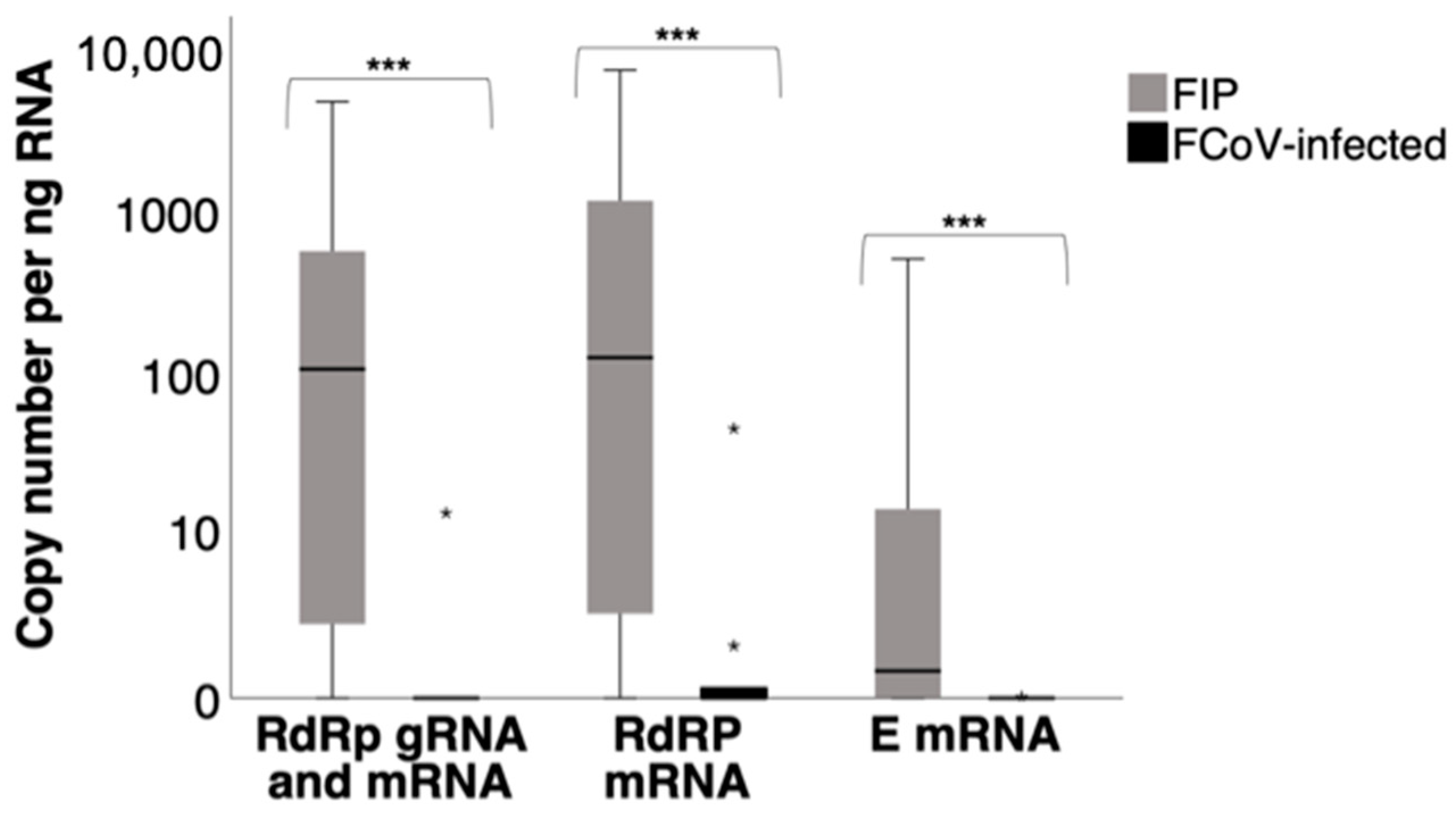 Viruses 17 00279 g001