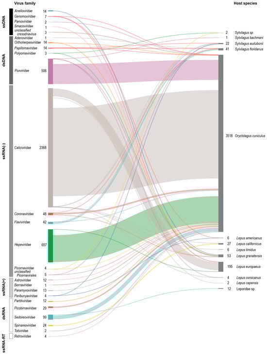 Viruses 17 00280 g001