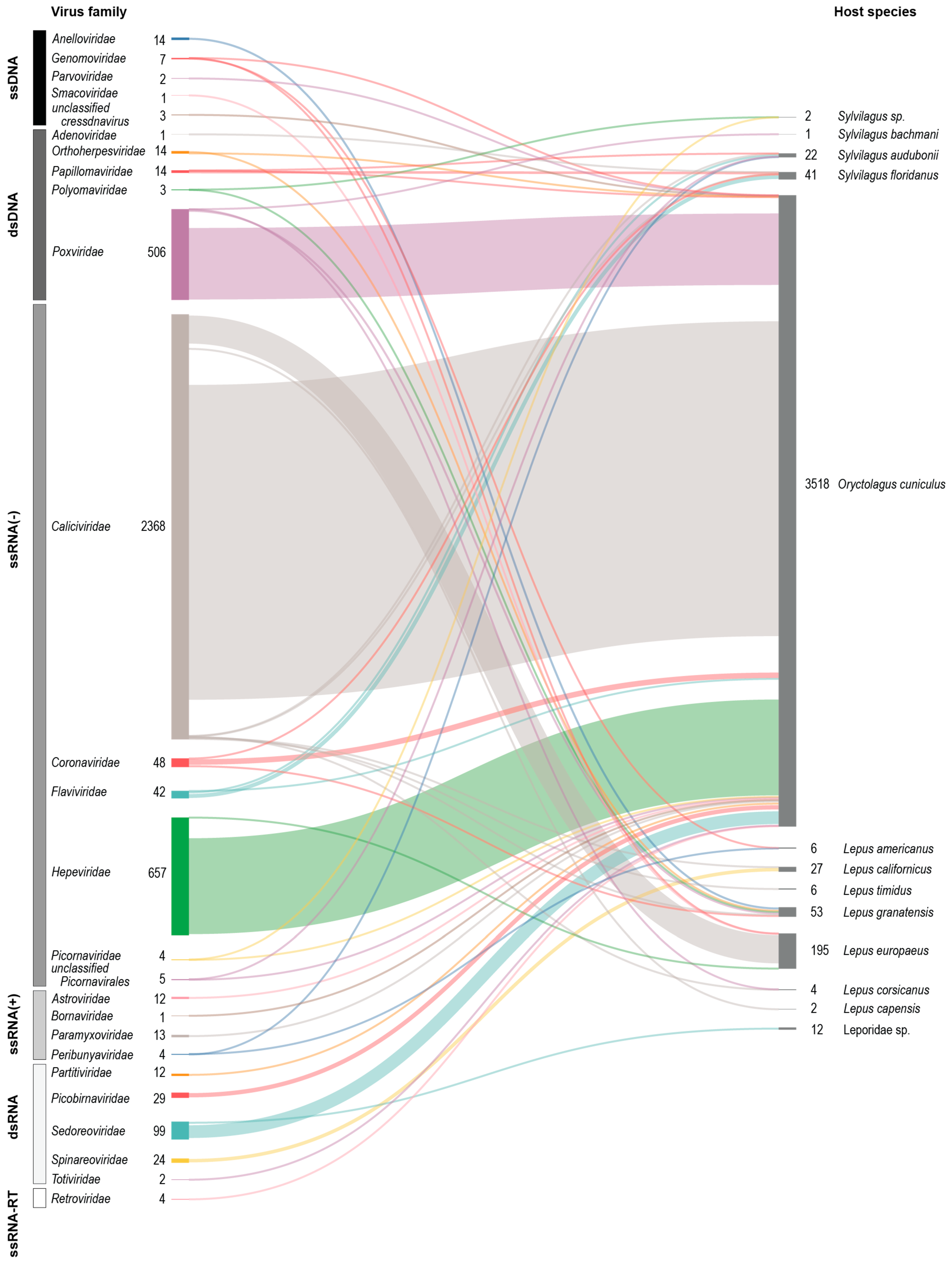 Viruses 17 00280 g001