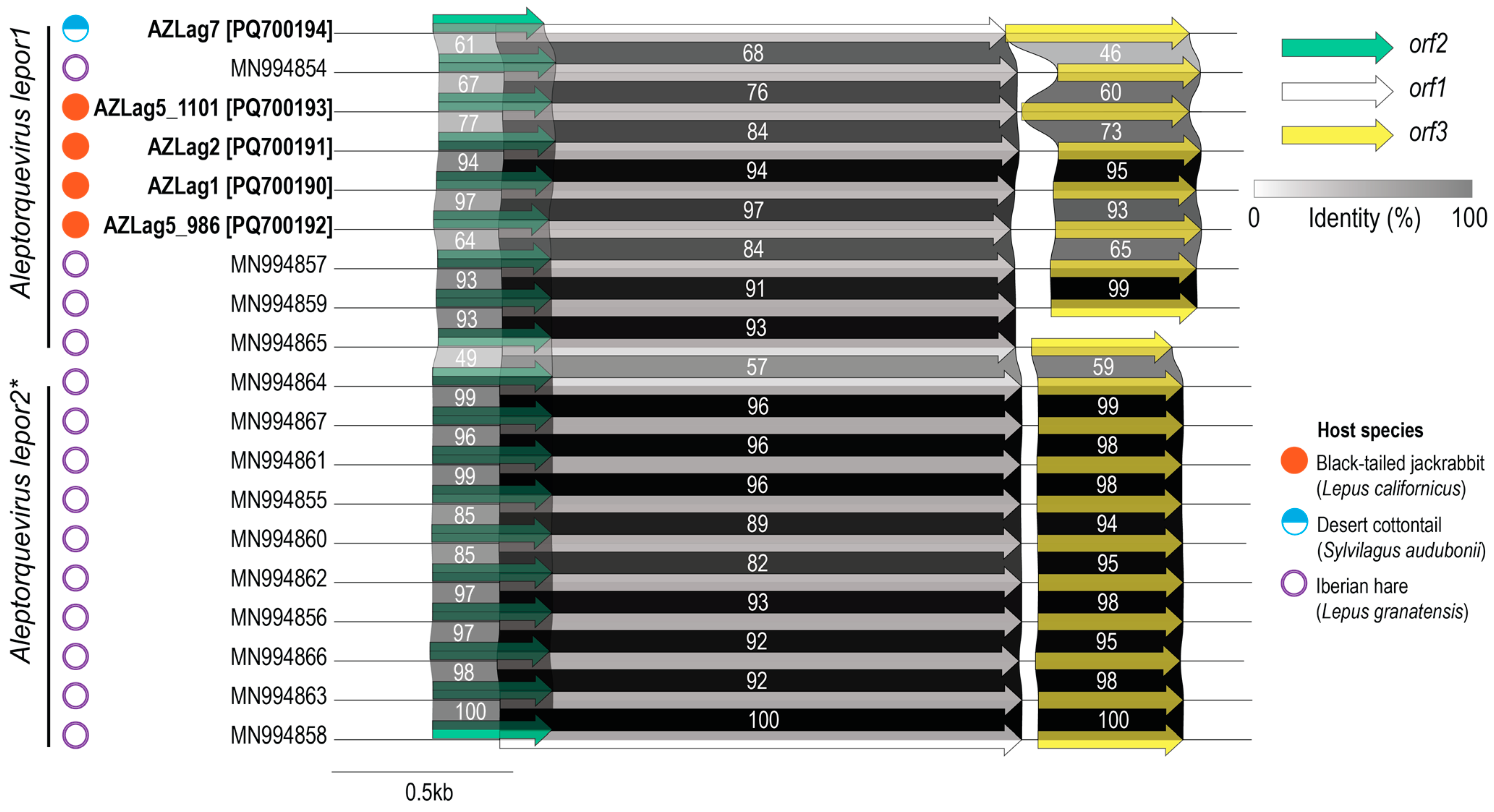 Viruses 17 00280 g003