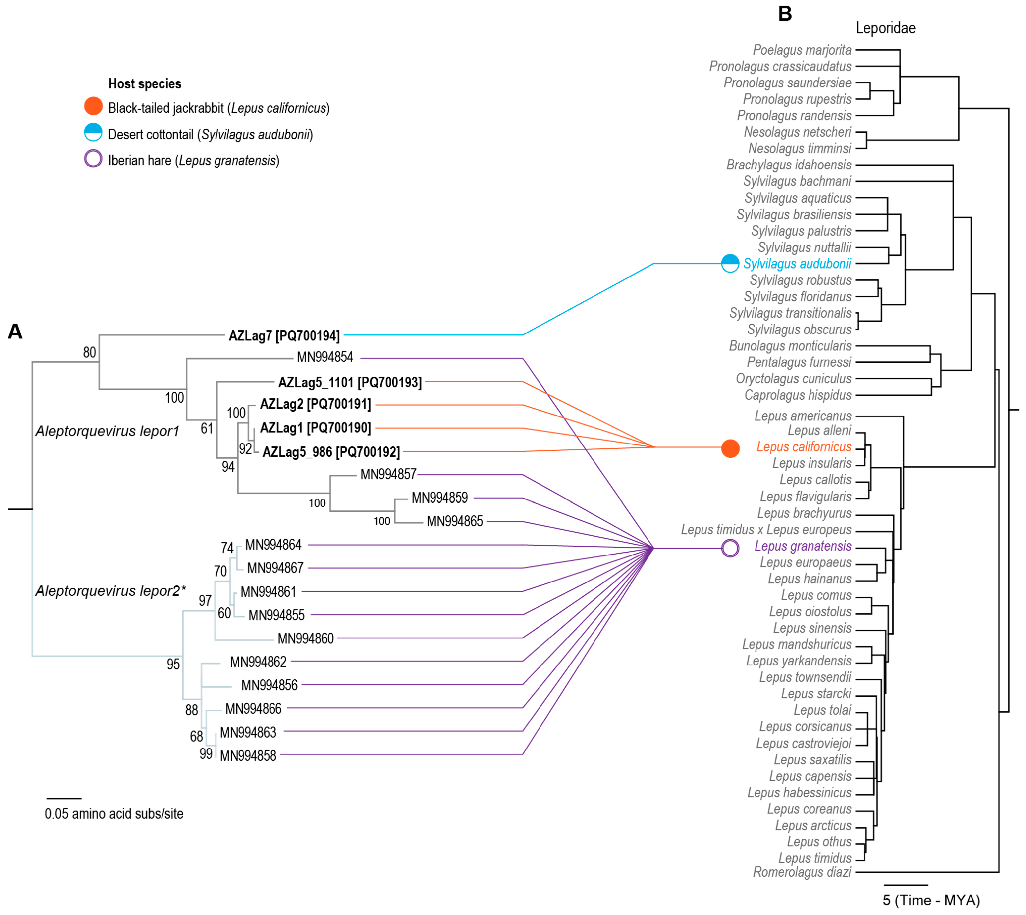 Viruses 17 00280 g005