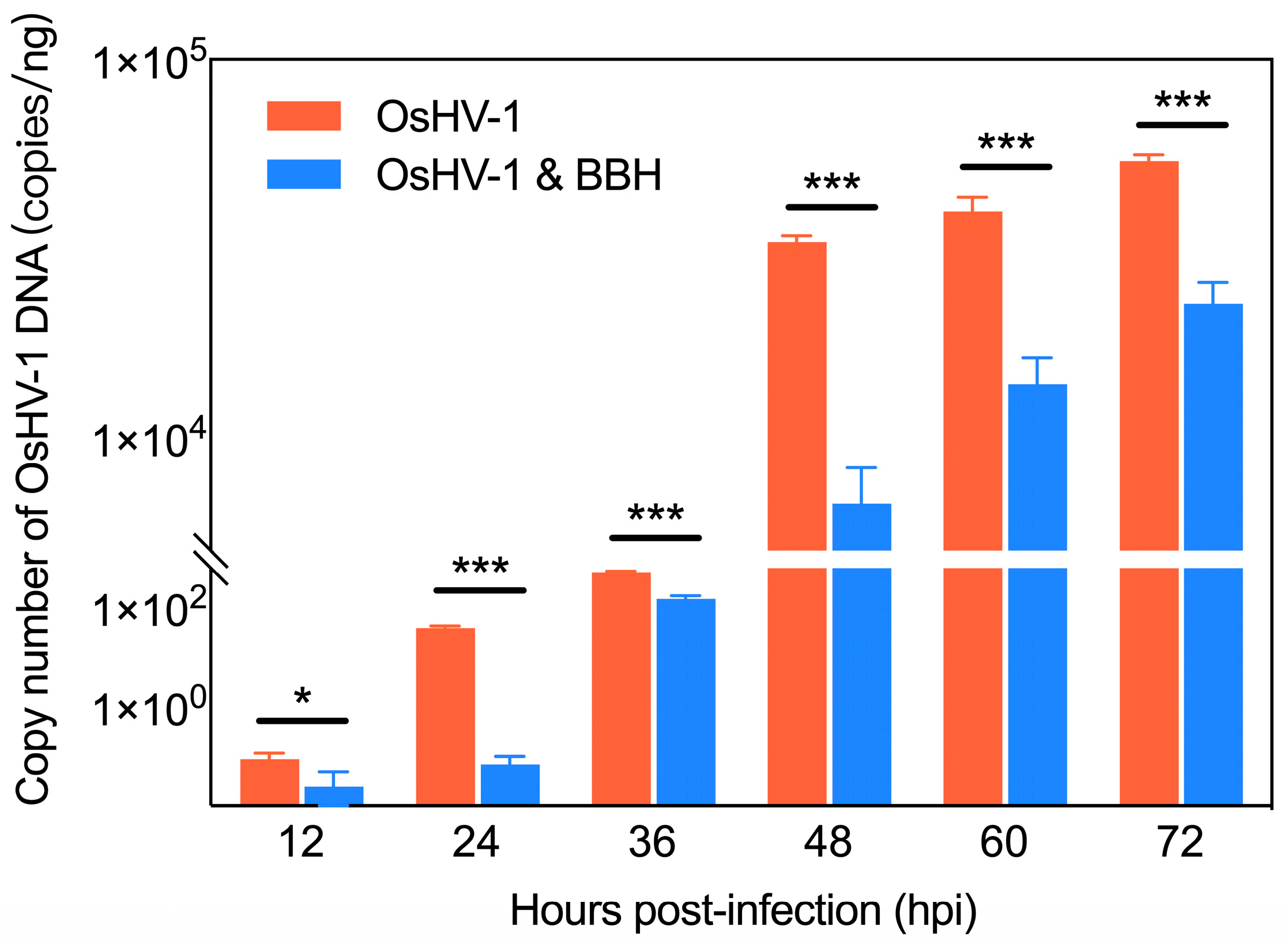 Viruses 17 00282 g002