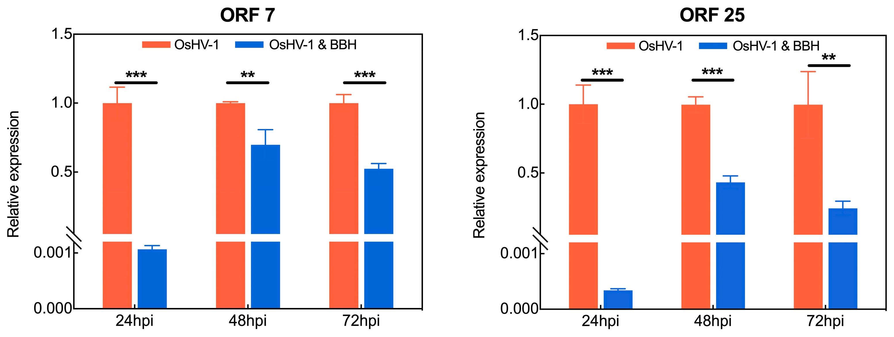 Viruses 17 00282 g004a