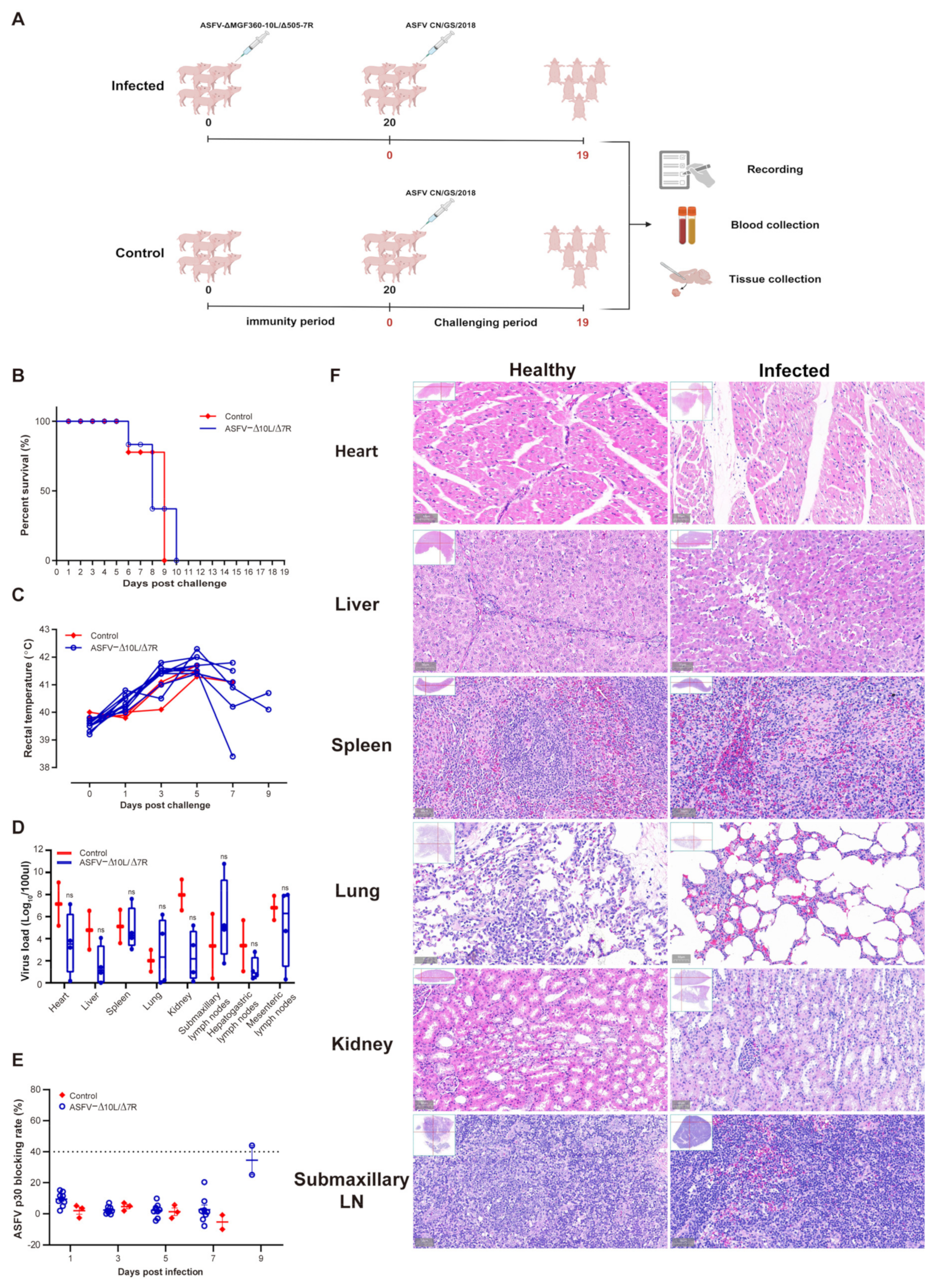 Viruses 17 00283 g003