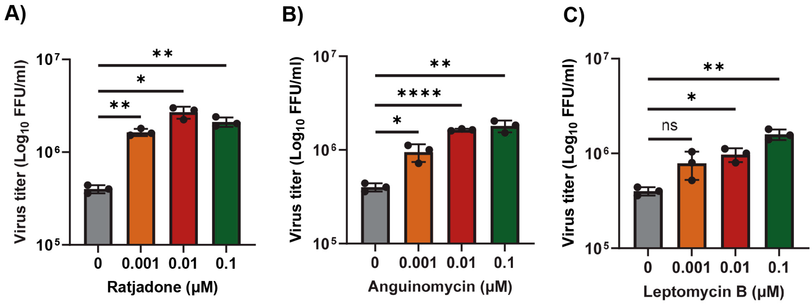 Viruses 17 00284 g001