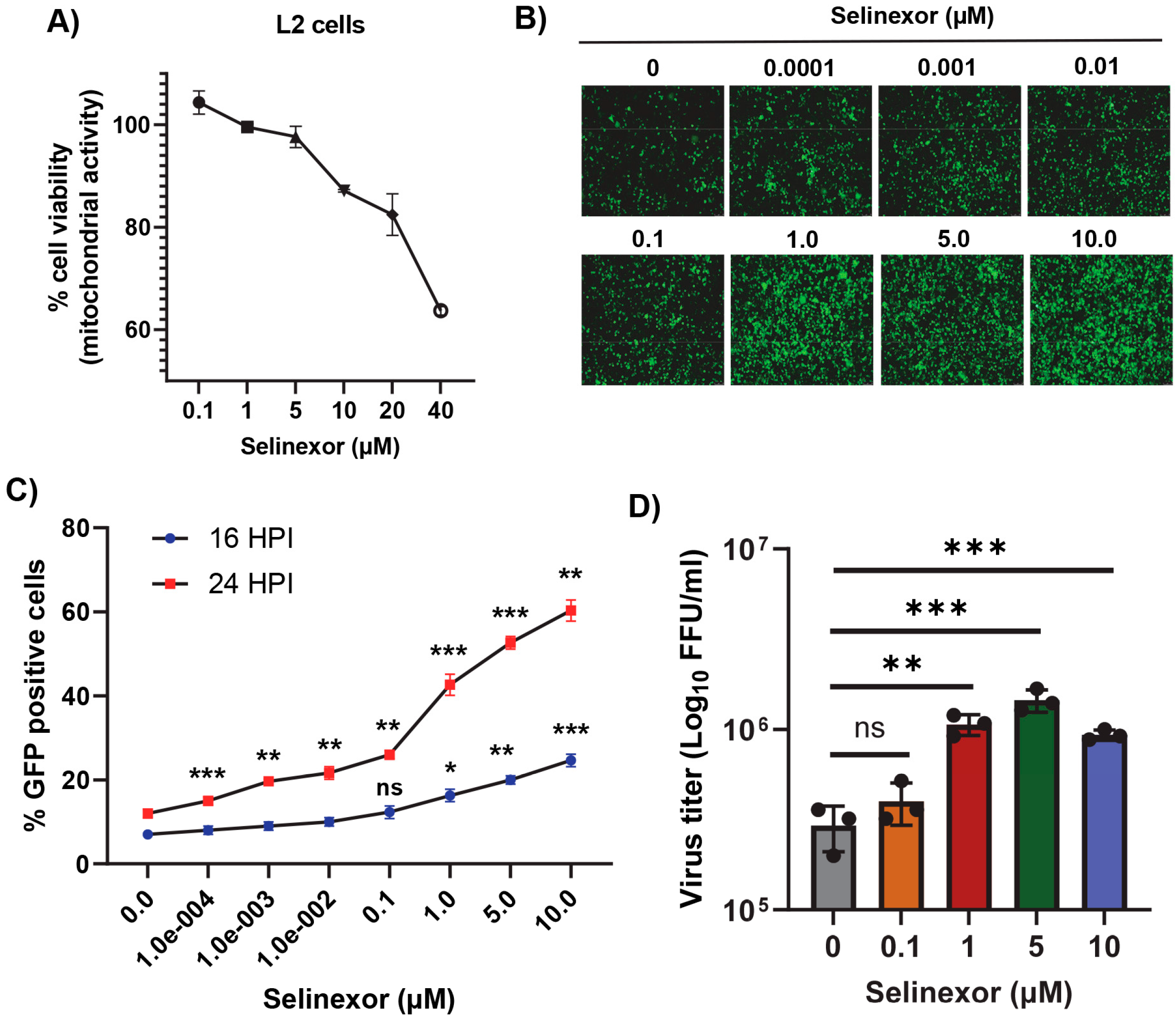 Viruses 17 00284 g002