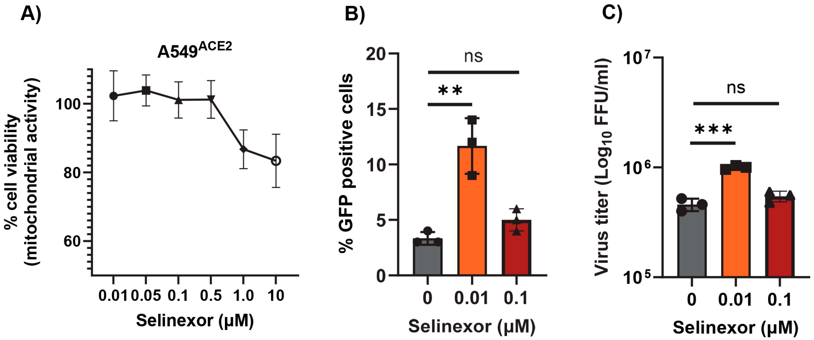 Viruses 17 00284 g006