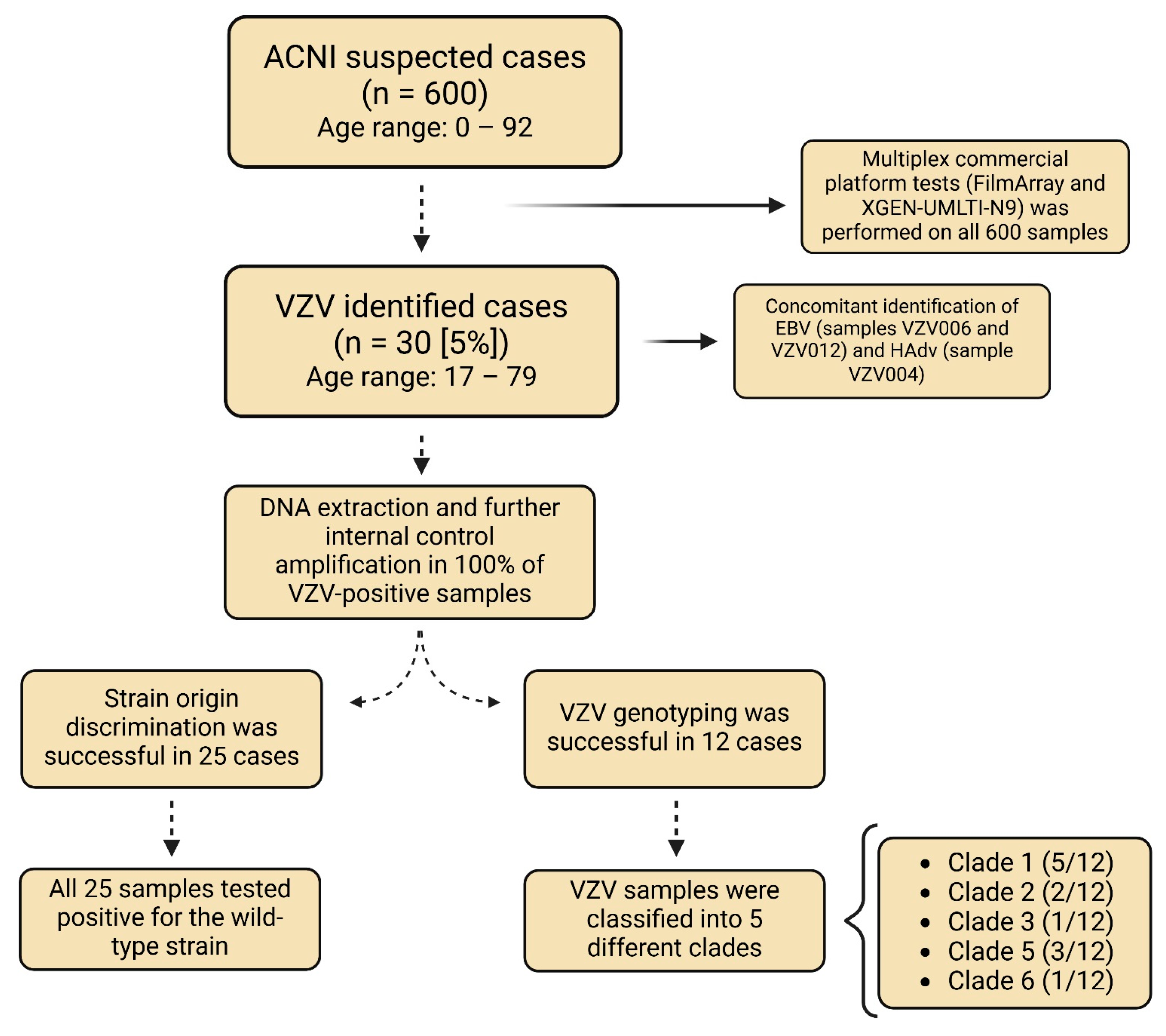 Viruses 17 00286 g002