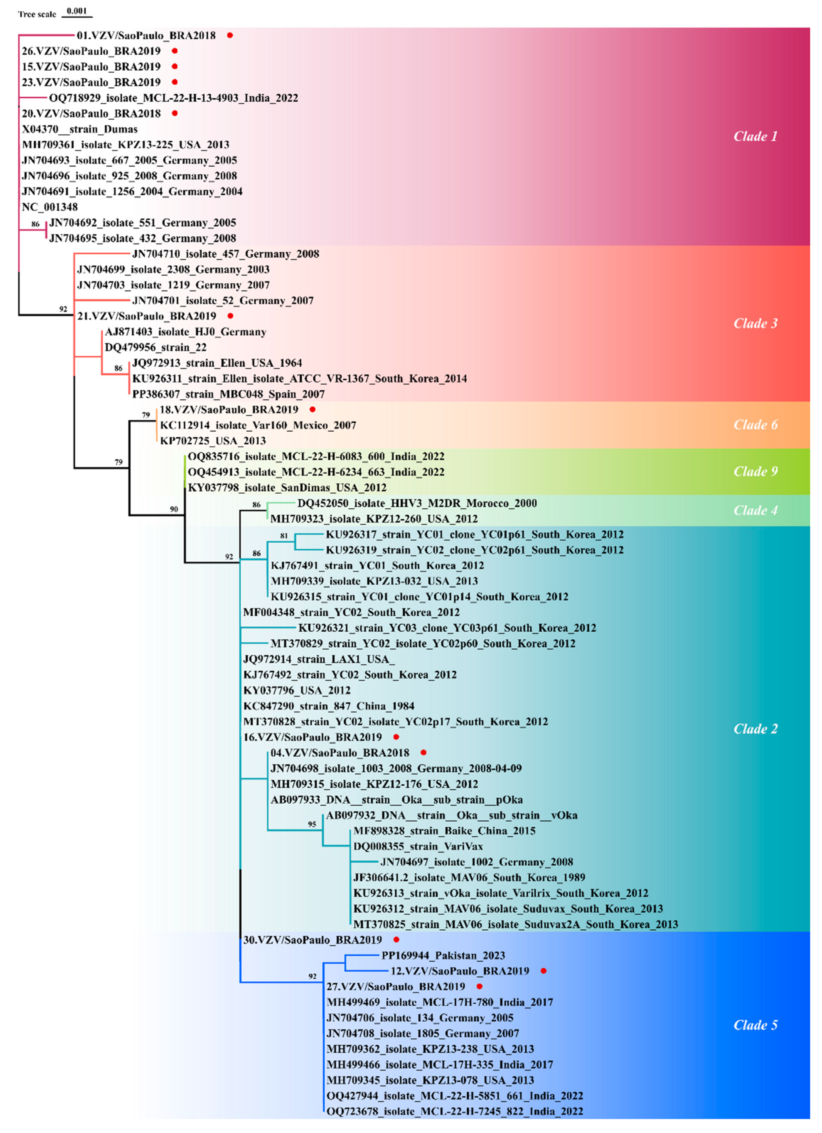 Viruses 17 00286 g003