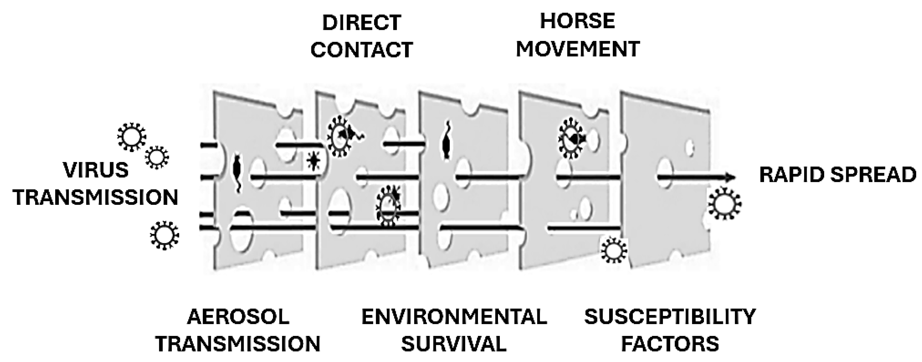Viruses 17 00302 g003