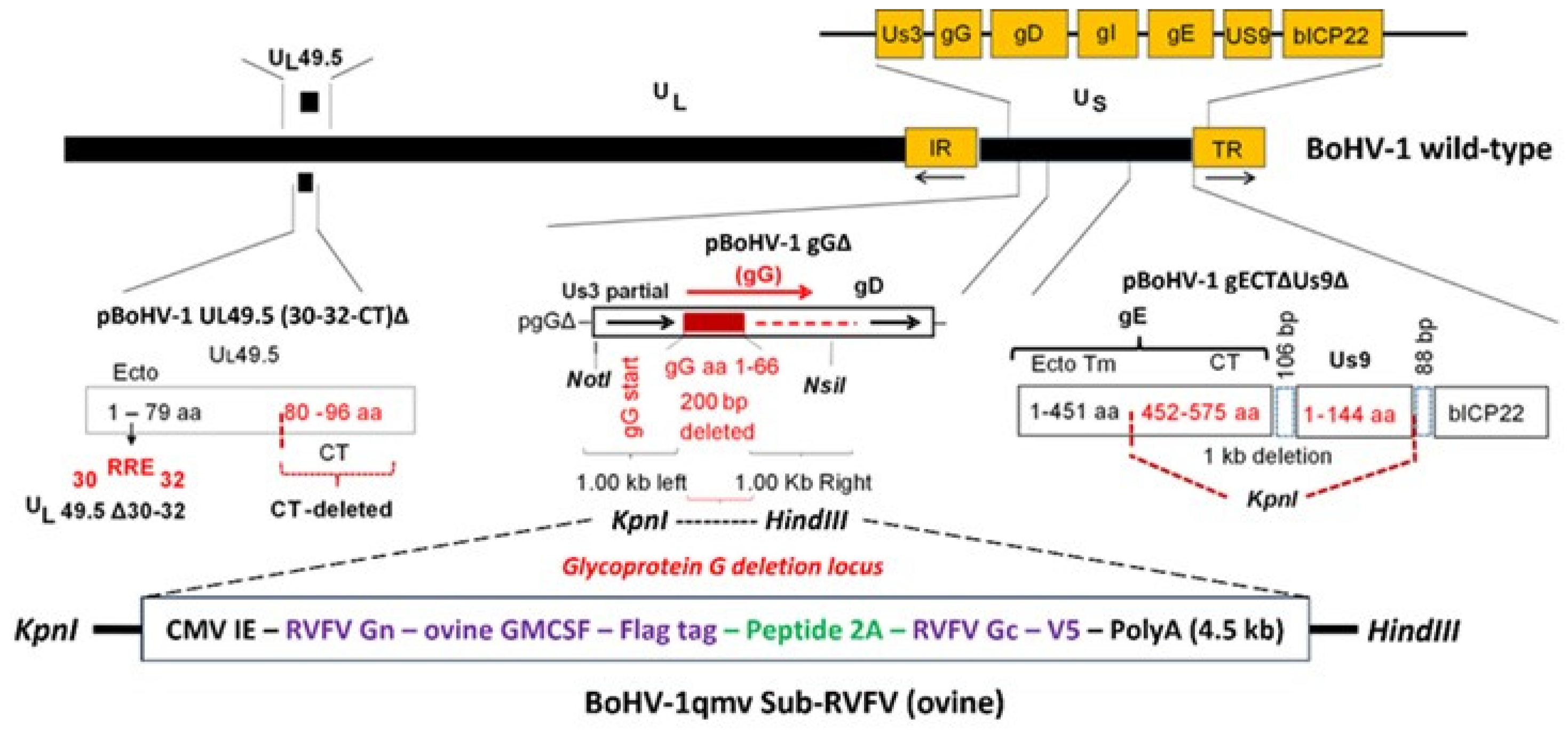 Viruses 17 00304 g001