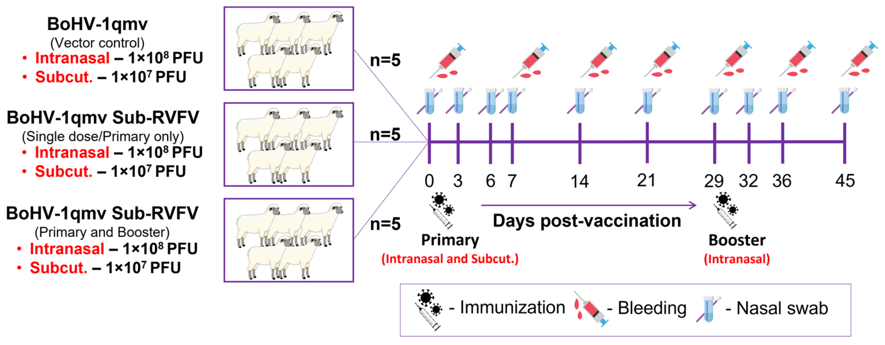Viruses 17 00304 g002