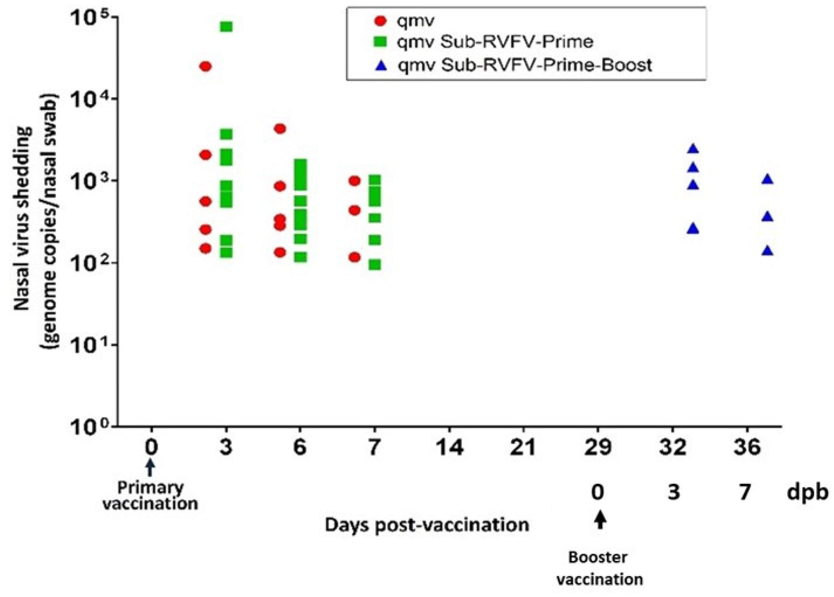 Viruses 17 00304 g005