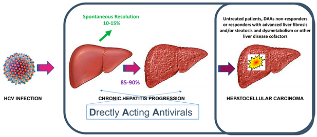 Viruses 17 00319 i001 Viruses 17 00319 i001
