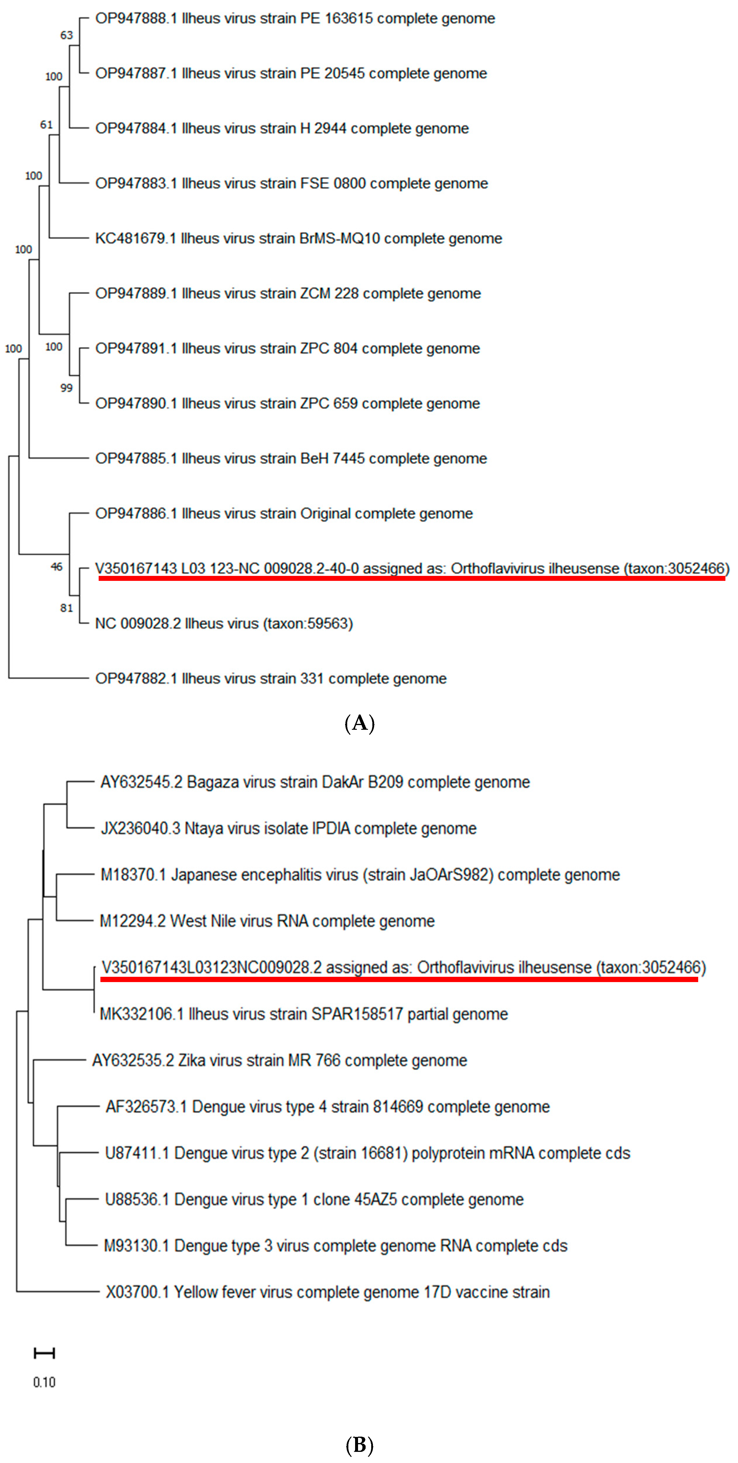 Viruses 17 00320 g001